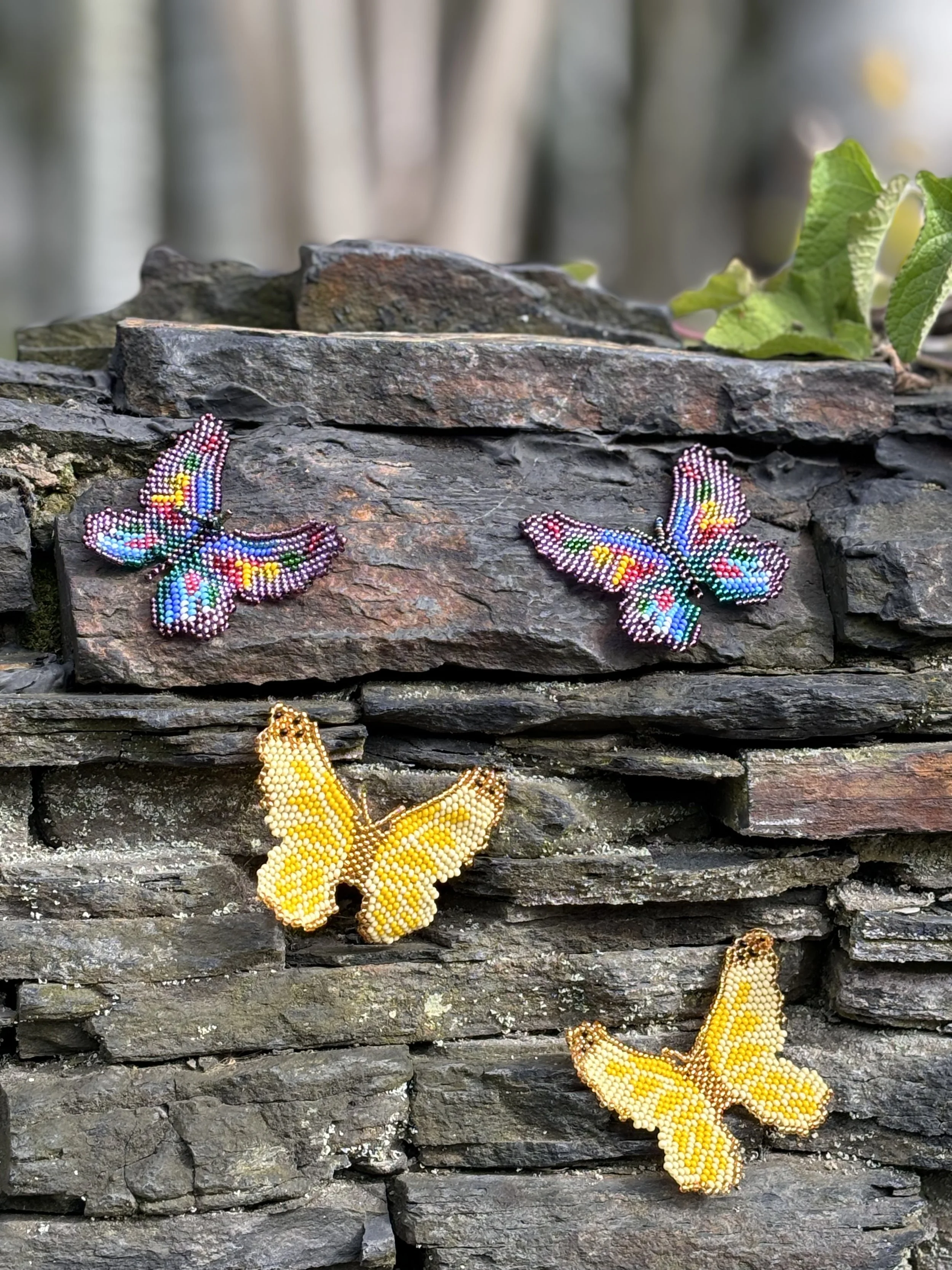 Butterfly Med.jpg