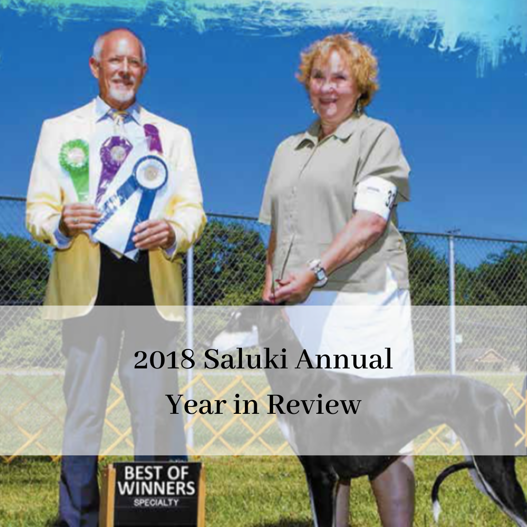 2019 saluki club of canada national specialty-10.png