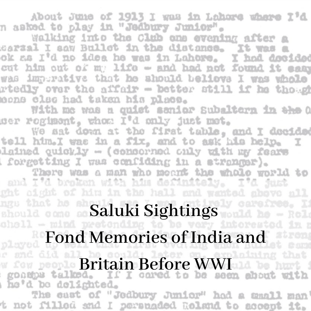 2019 saluki club of canada national specialty-16.png