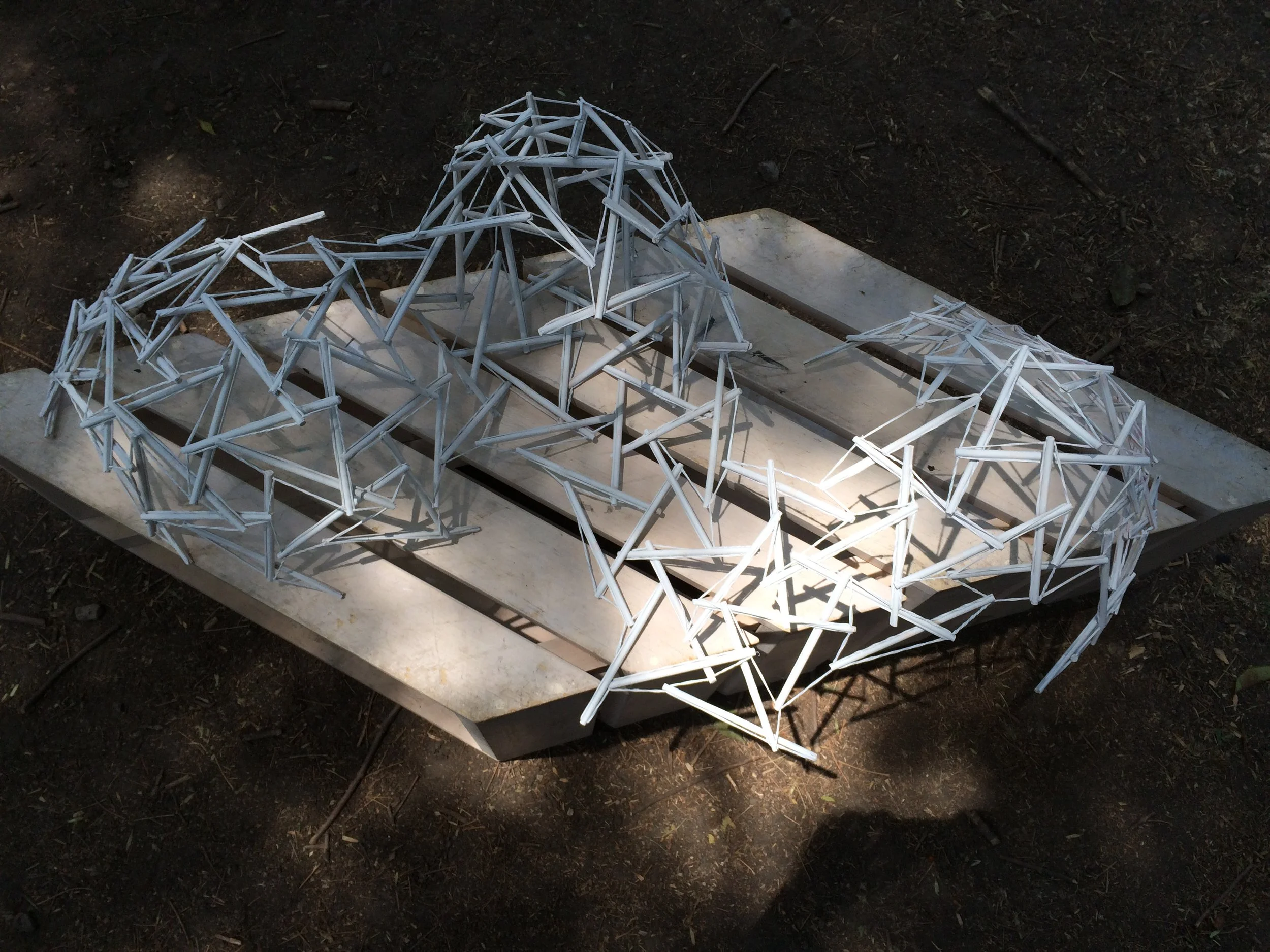 Tensegrity_02.jpg