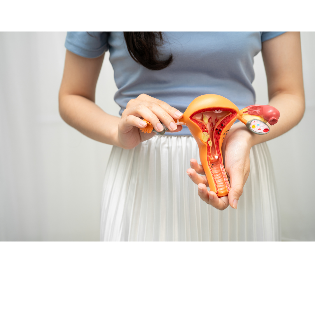 Image of woman in blue shirt and white skirt holding a uterus model. Represents the niched expert therapy available online throughout New York state for women with chronic pelvic pain conditions.