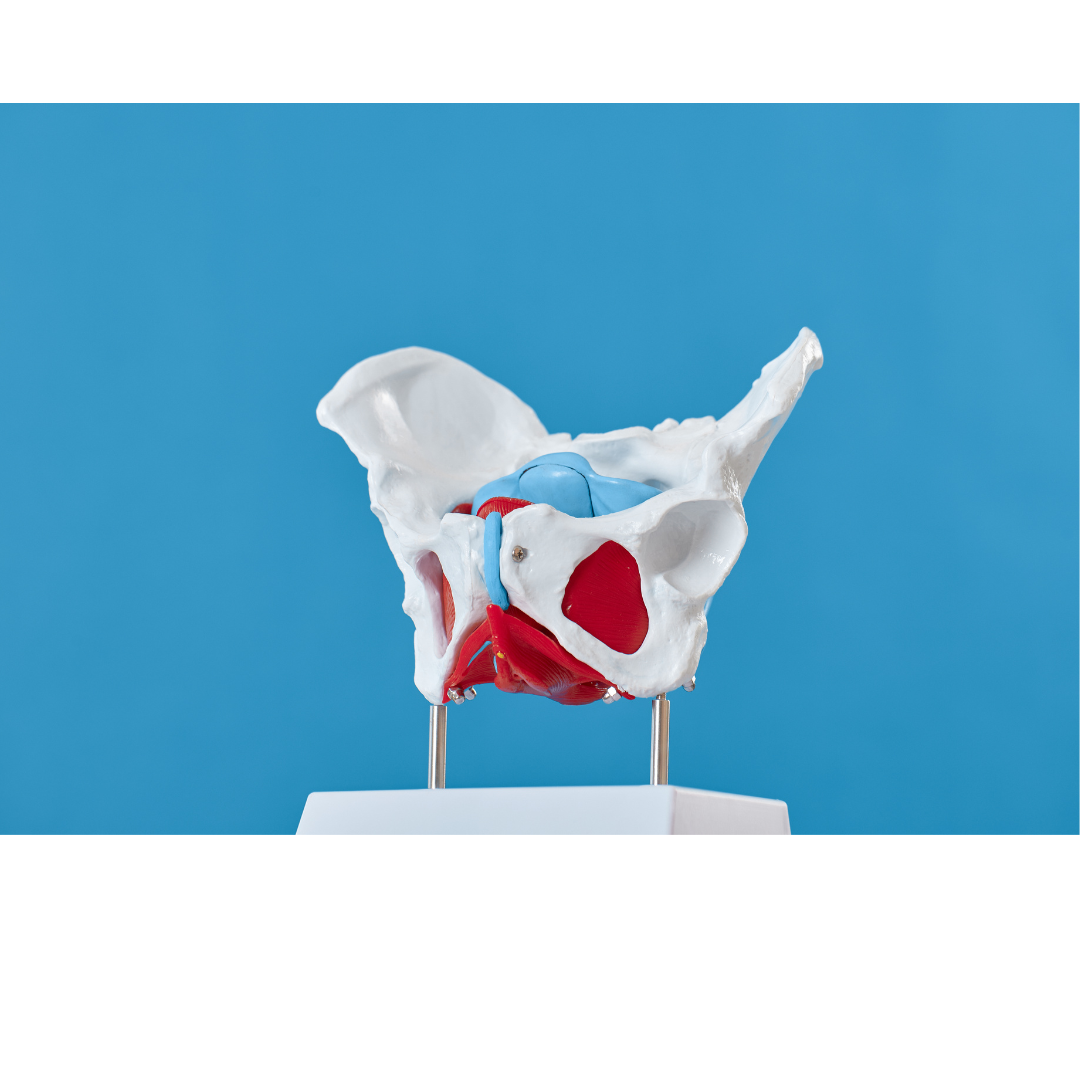 Online Therapy for Women with Chronic Pelvic Pain in New York