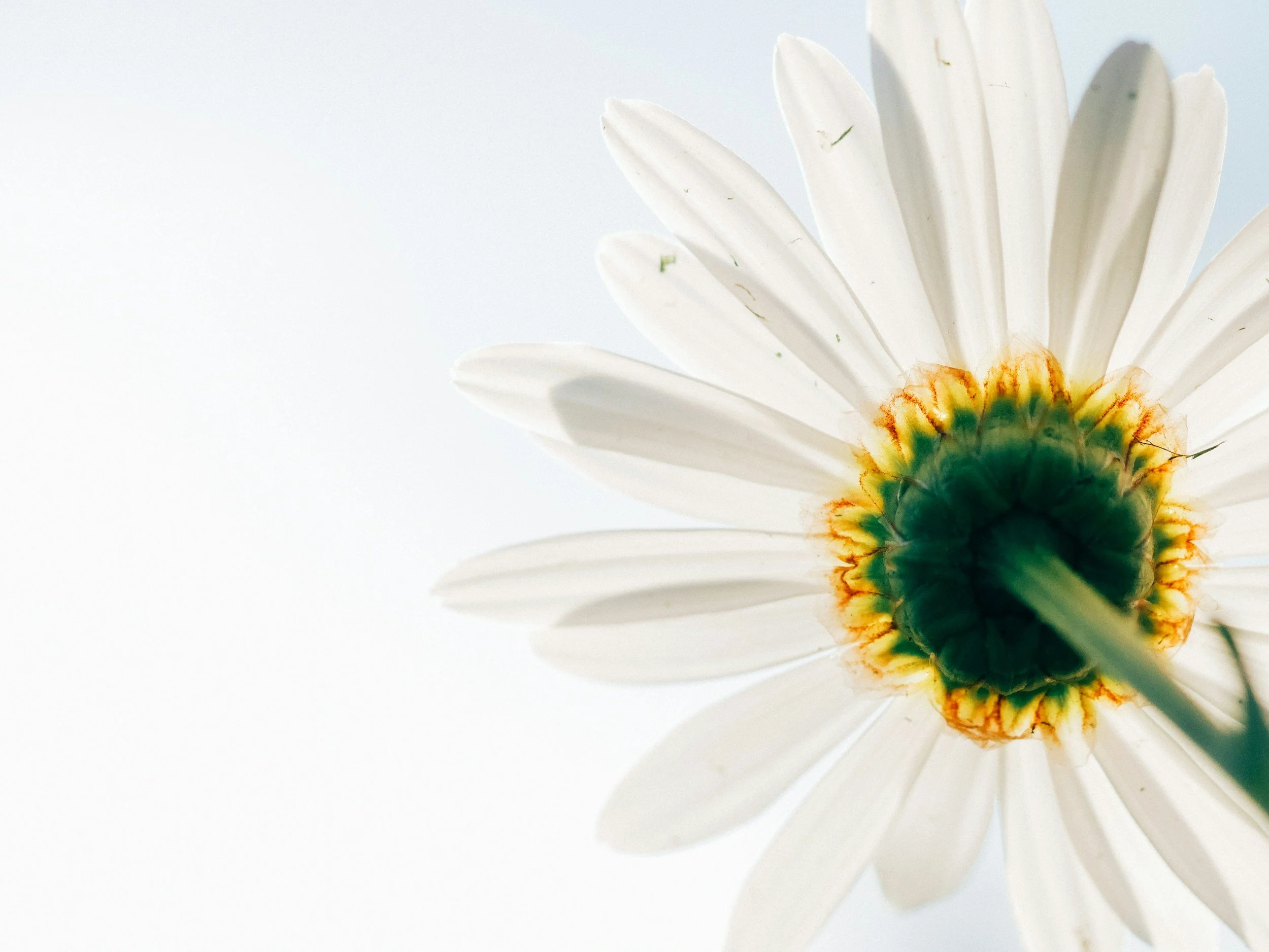 How Group Therapy Can Help Women Prepare for Endometriosis Excision Surgery