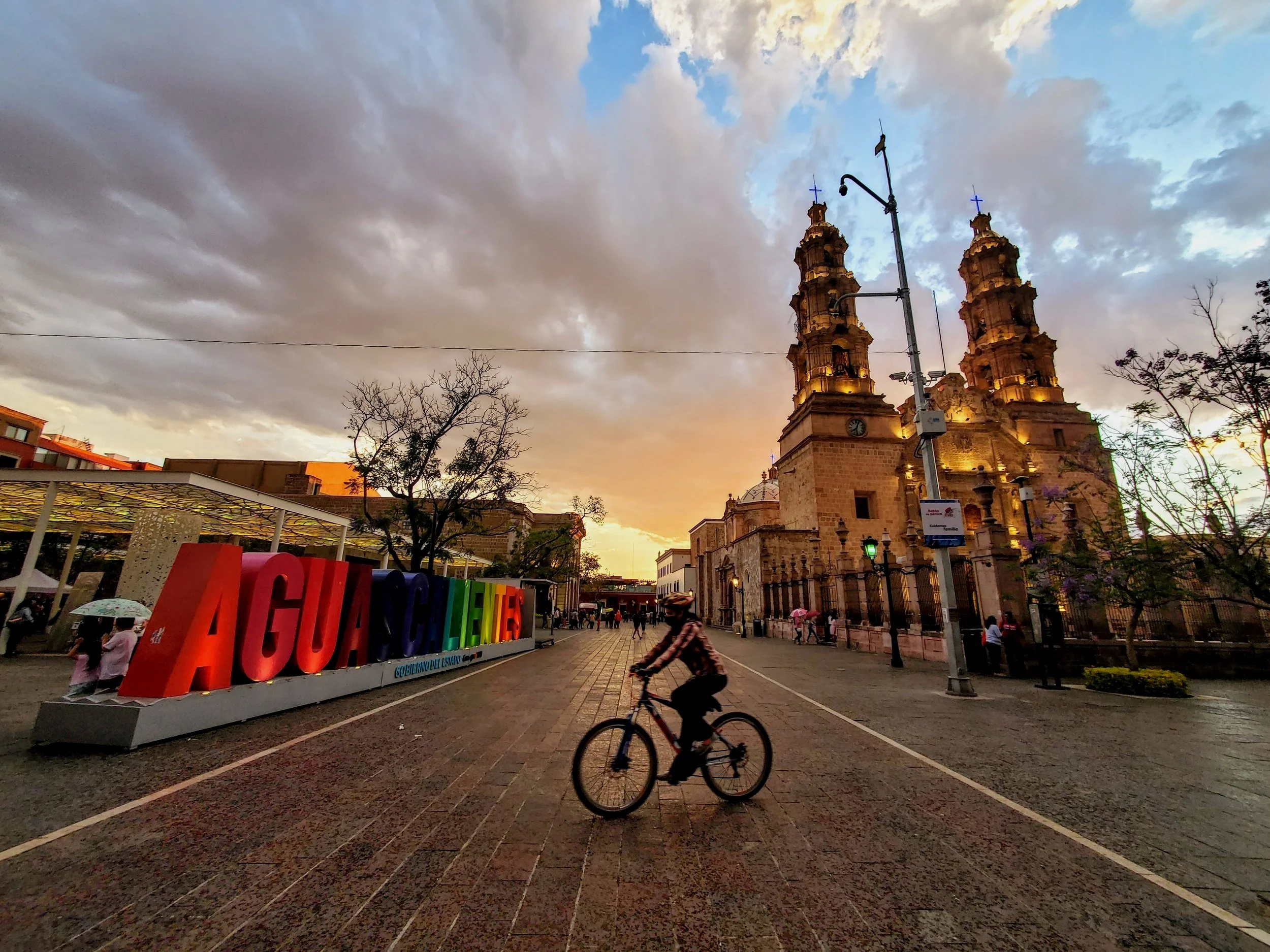 Bike+Downtown.jpg