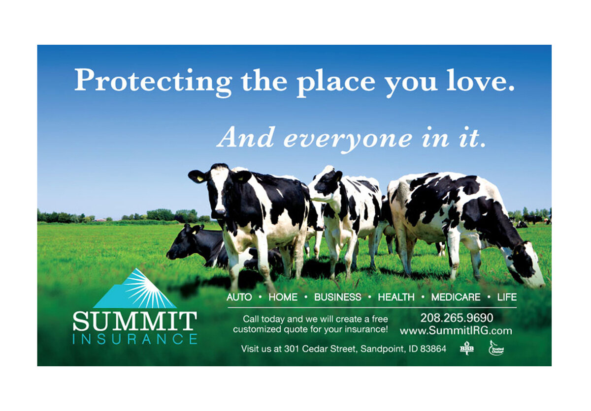 Summit Insurance - Ad Campaigns