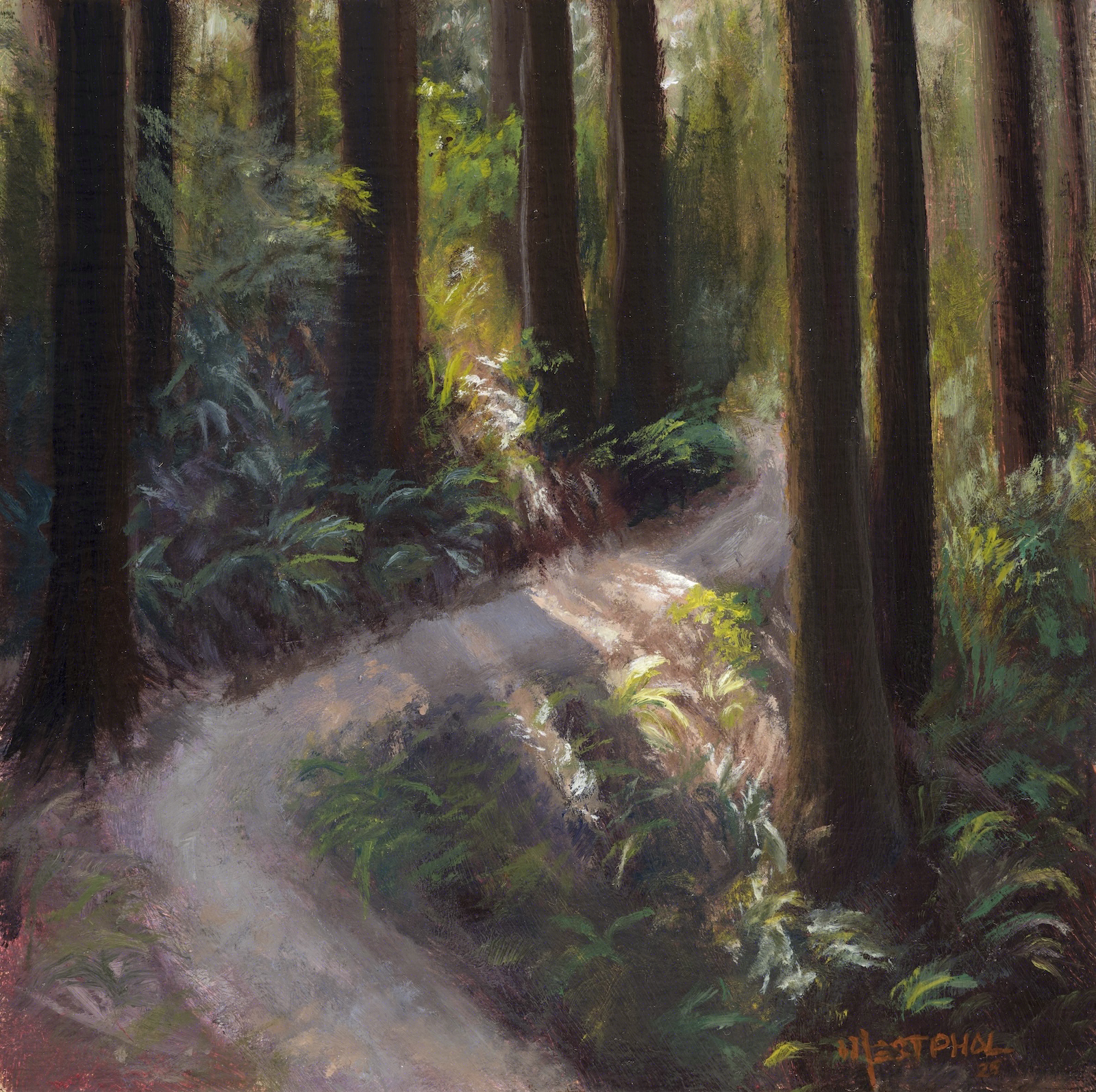 Redwoods - Limited Edition Signed Print