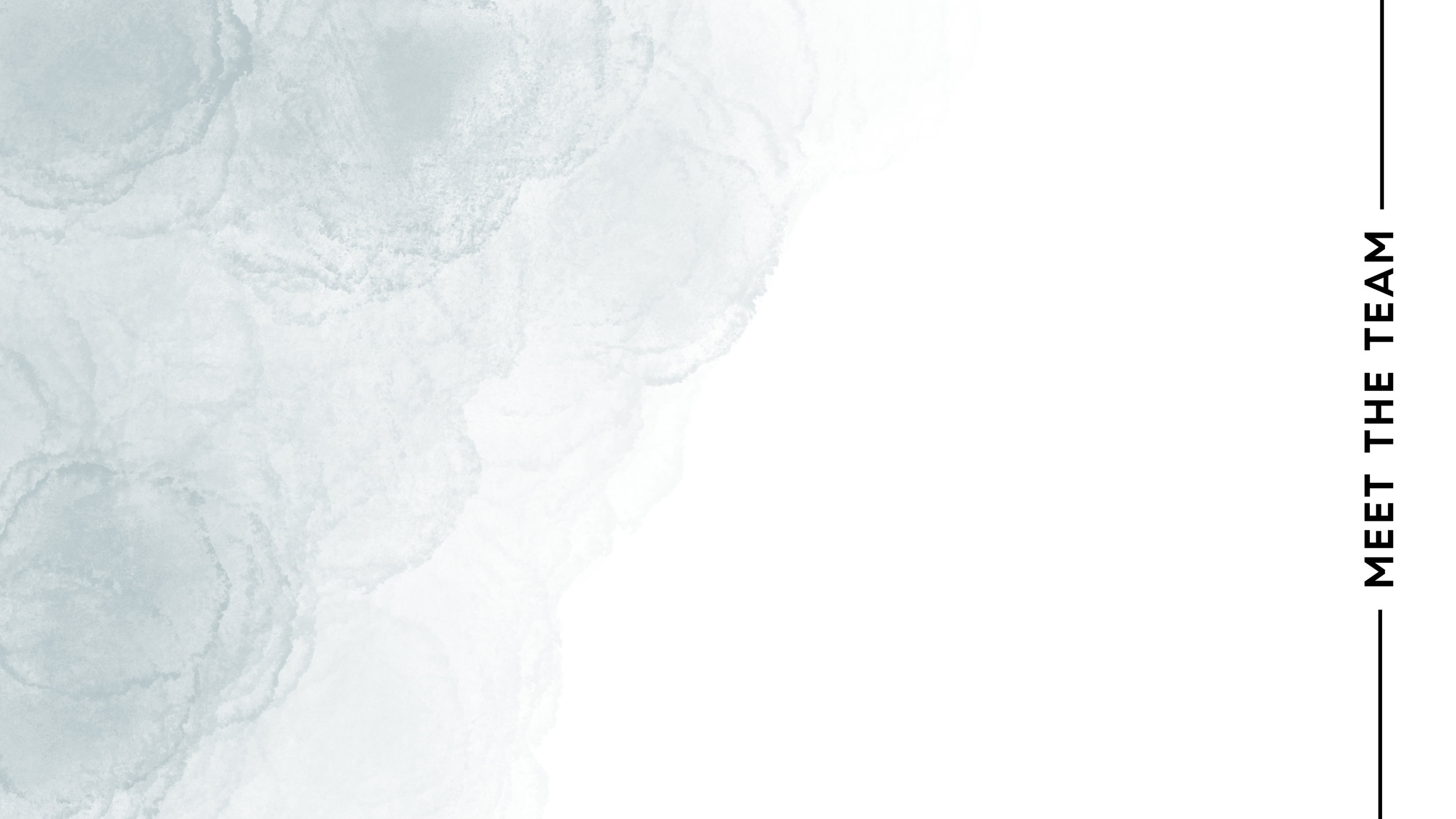 Saffel-Website-HomePage-Background-Texture-MEET-TEAM.jpg
