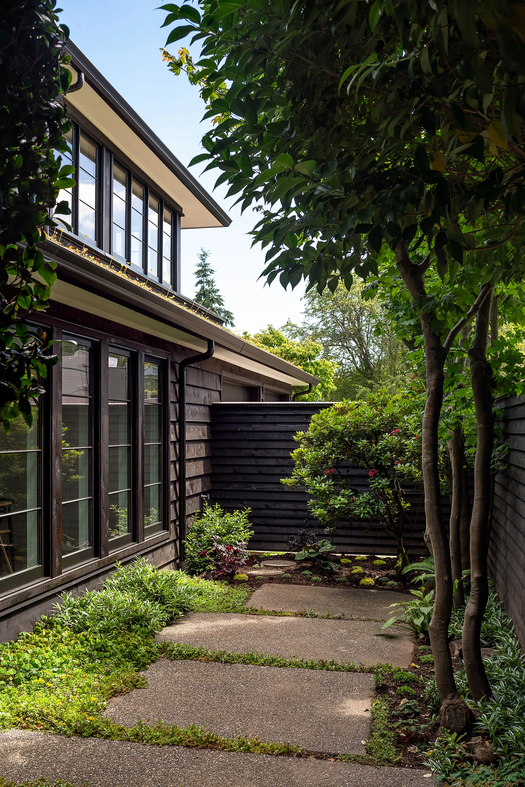 DuHamelArchitecture_HorizontalHouse_Entry.jpg