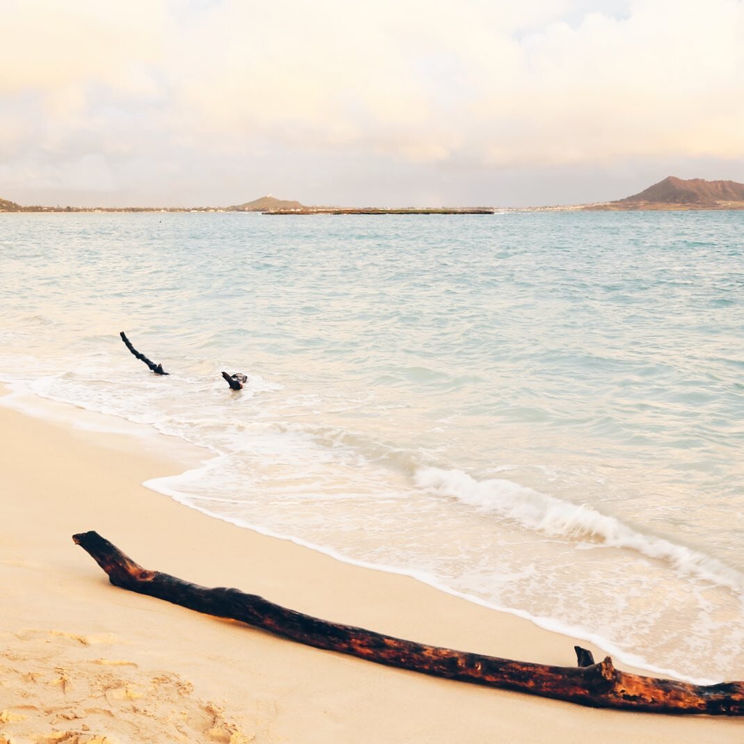 Time to log off your computer and relax on a beach