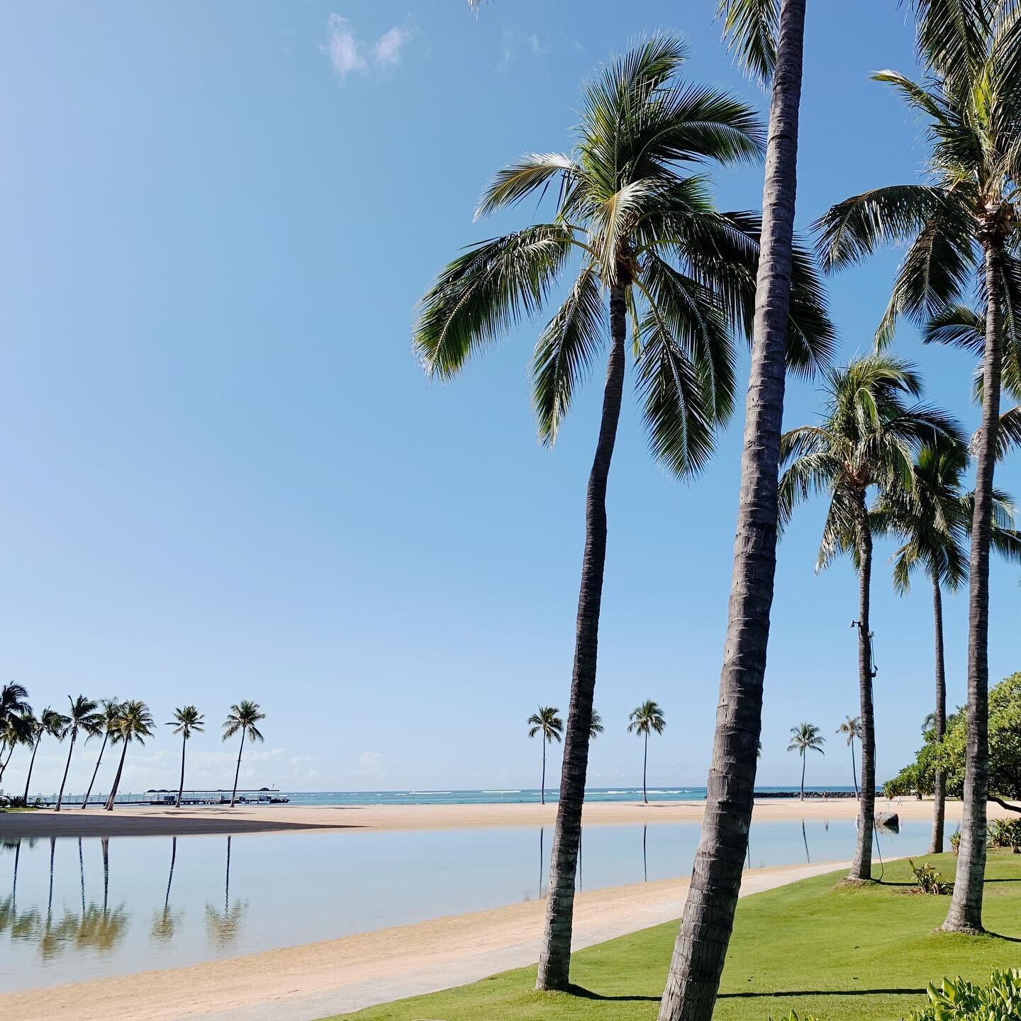 Happy Aloha Weekend!  Prep your hurricane kits and take care of each other (especially the handicap and elderly). Take care and stay safe out there friends. 🤙🏽 ✌️