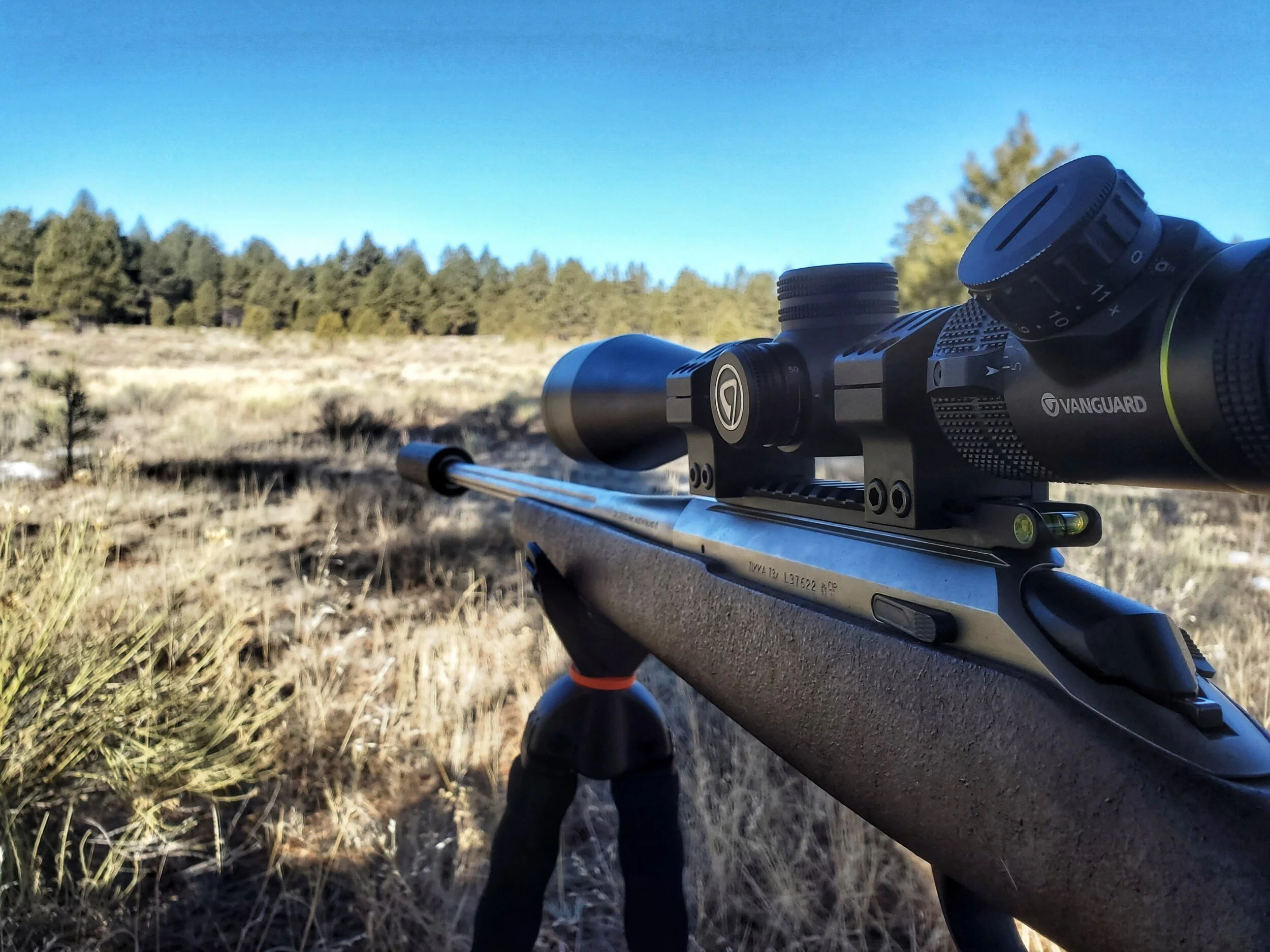 Why I hunt reason #xyz