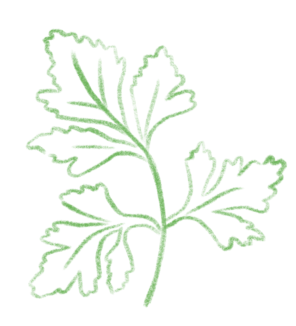 green-cilantro.png