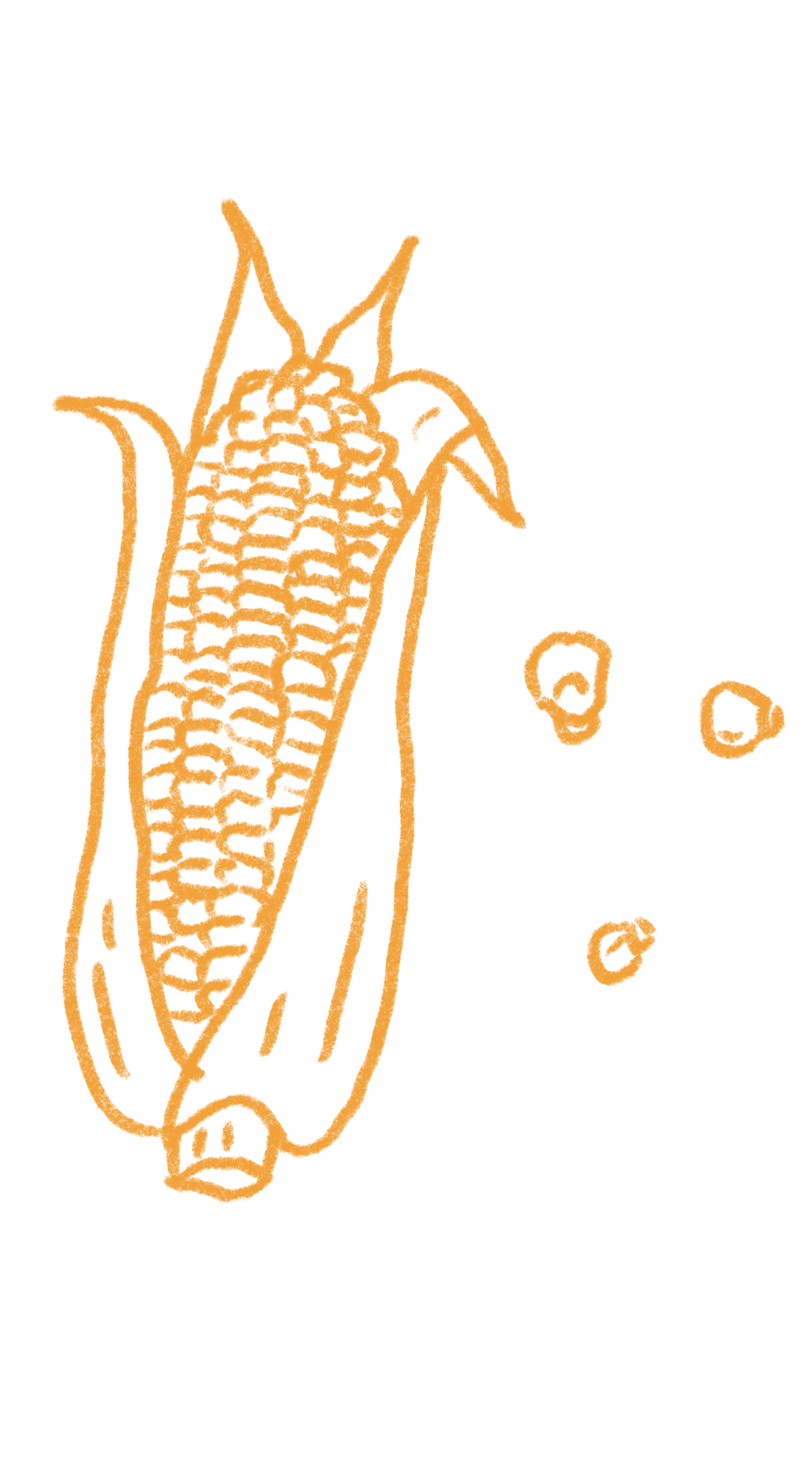 corn.png