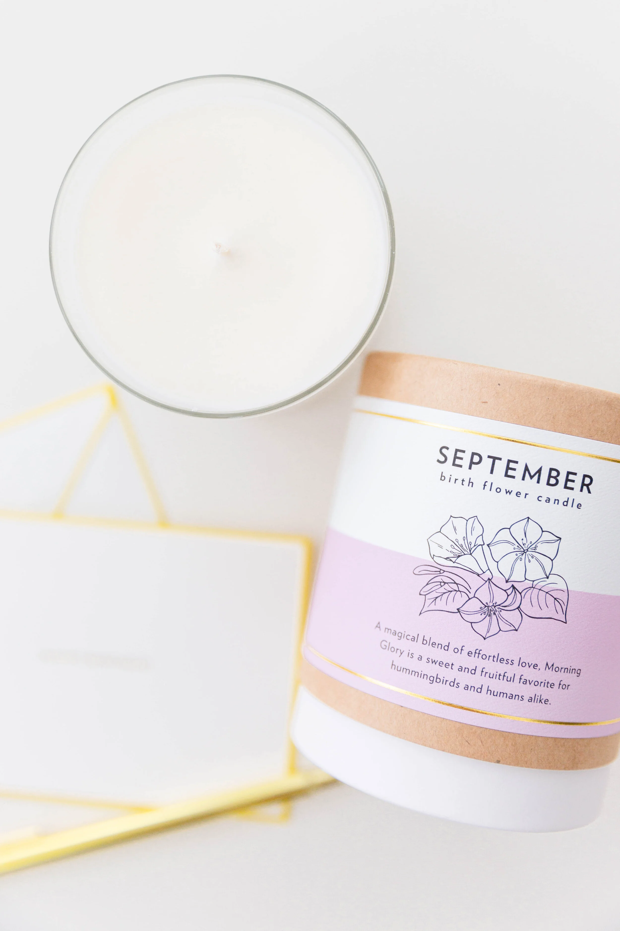 Scripted Fragrance_Lifestyle_September Birth Flower Soy Candle_1..jpg