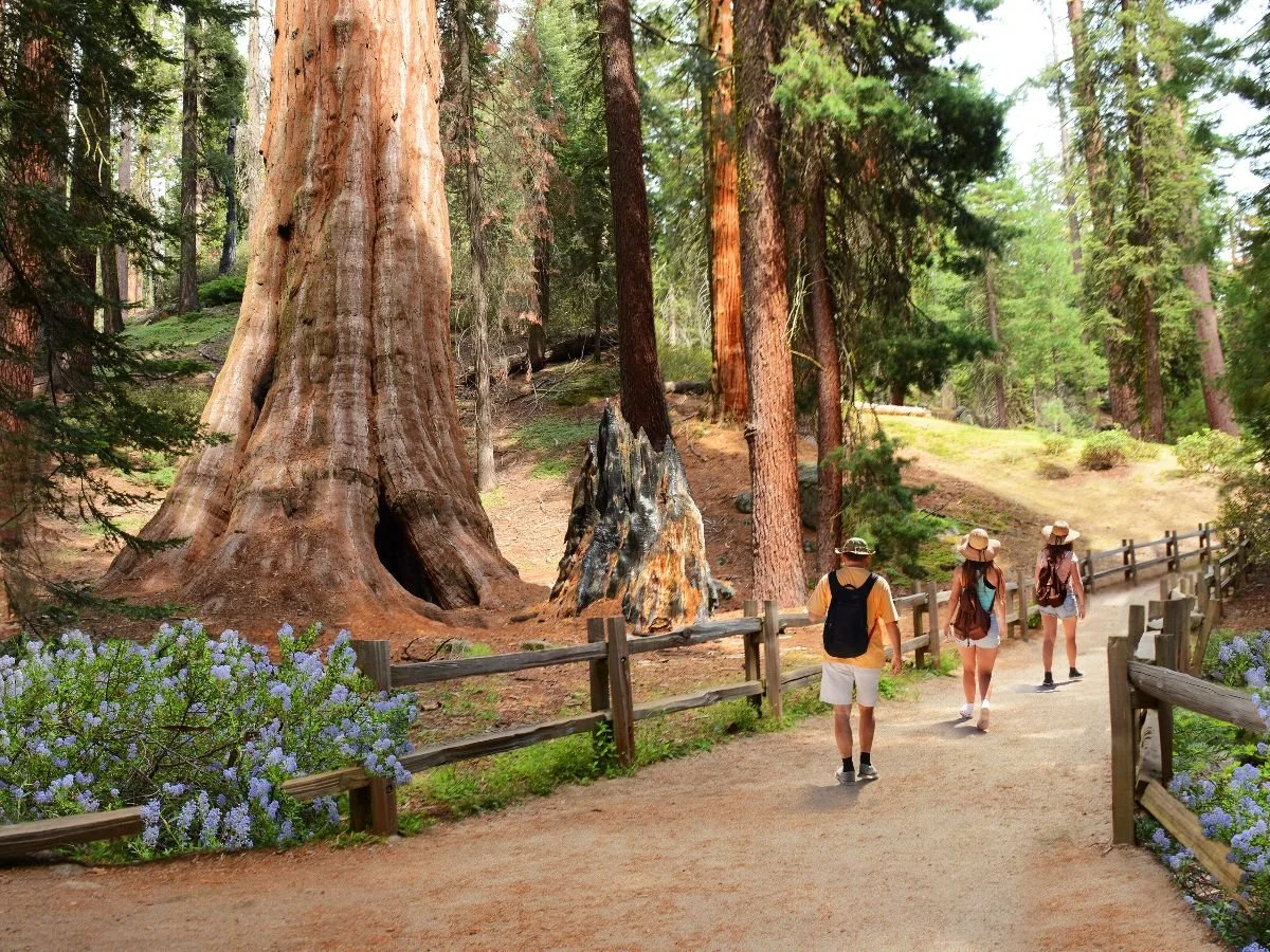 U.S. Ranked World’s Top Tourism Destination in 2024