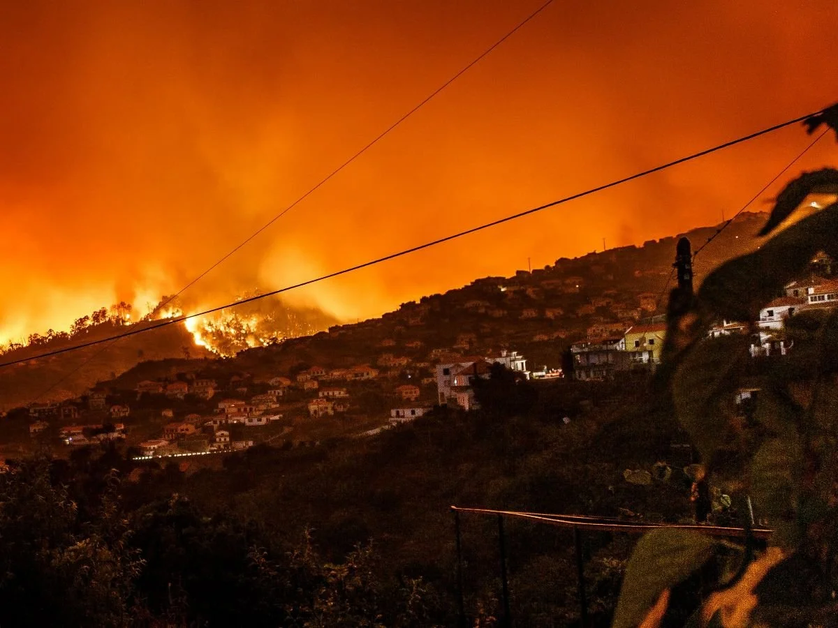   Tax Relief Provided to Individuals &amp; Businesses Impacted by L.A. Wildfires