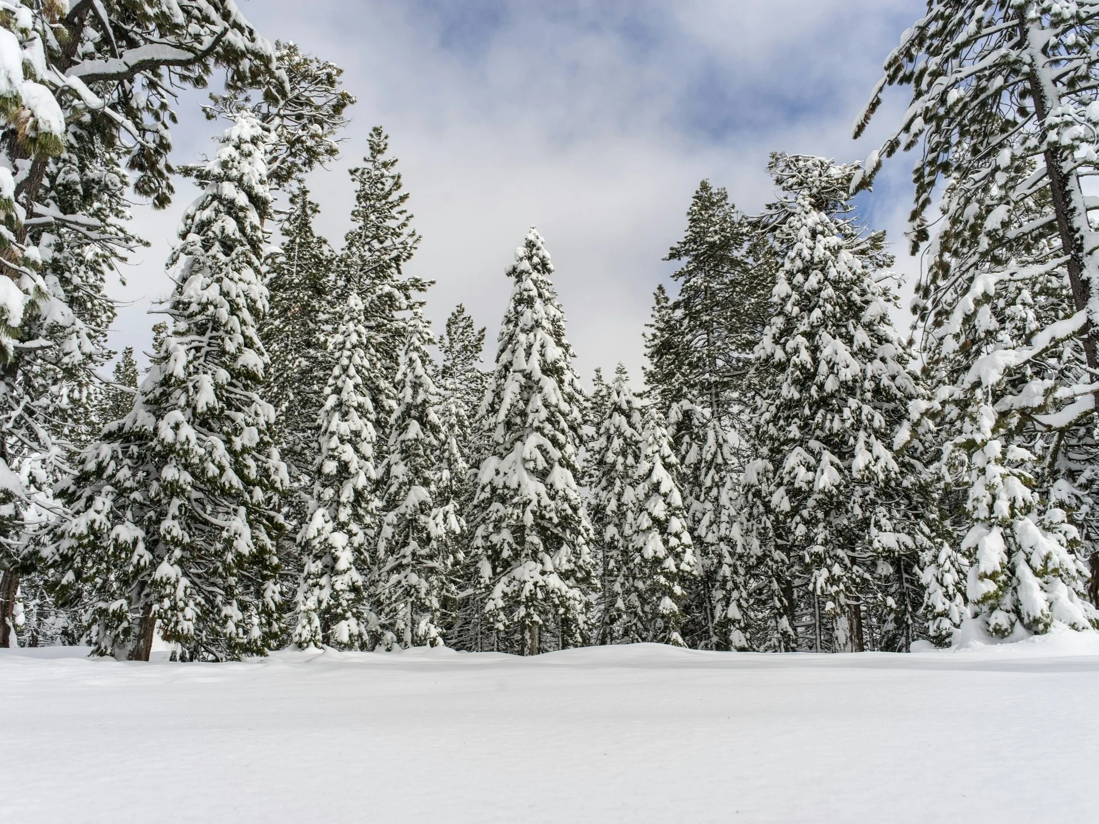 California’s Snowpack Hits Milestone, First Time in 25 Years 