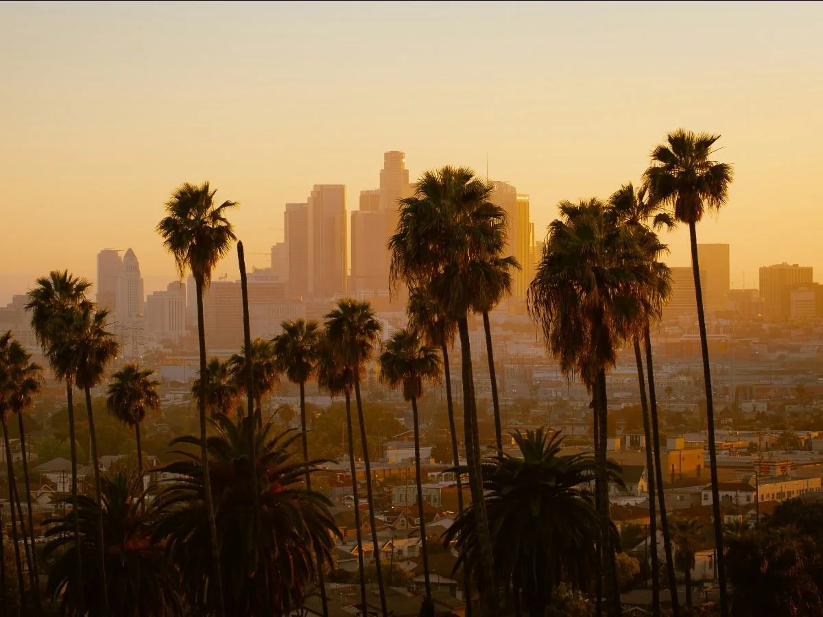 Los Angeles is bouncing back after 2025 wildfires