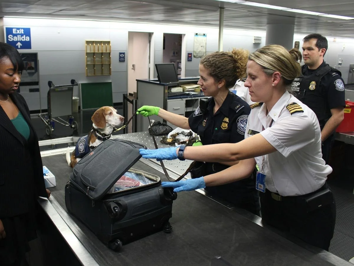 Trump administration proposes to privatize TSA screening