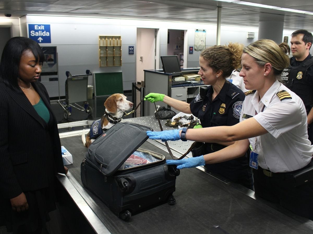 New TSA program will privatize screening at more airports
