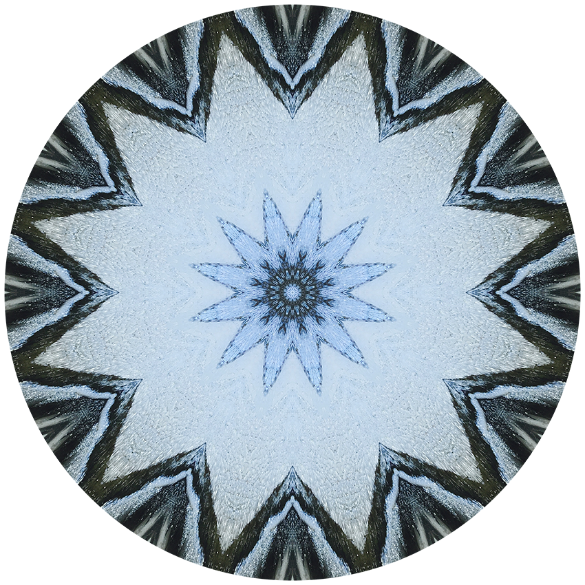 IMG_4402 Kaleidoscope_6.png