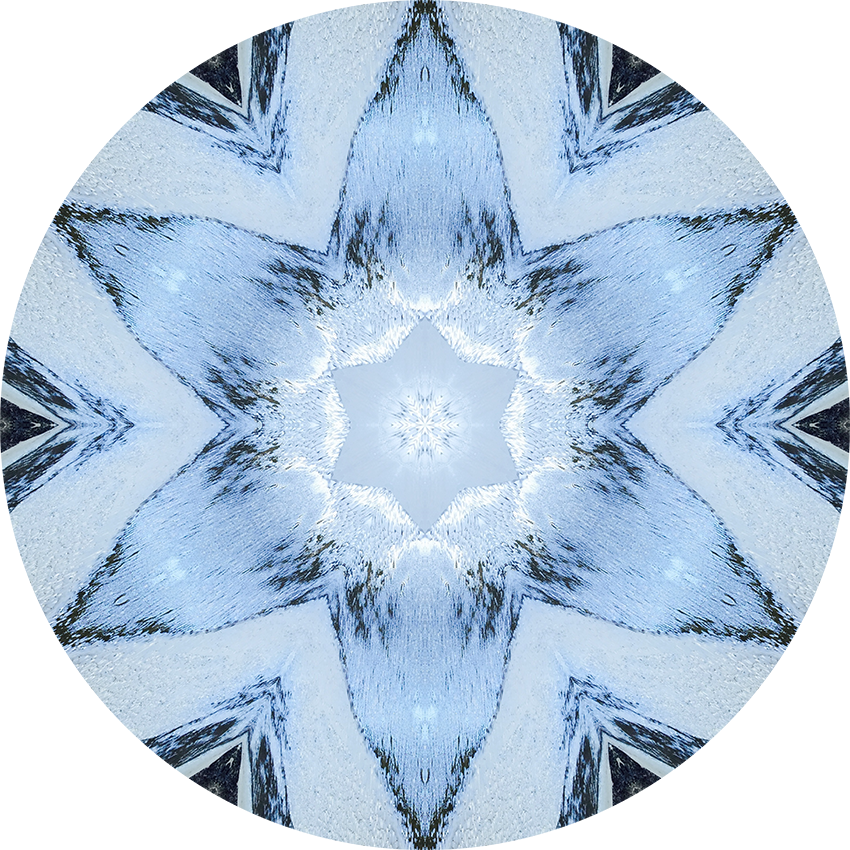 IMG_4402 Kaleidoscope_4.png