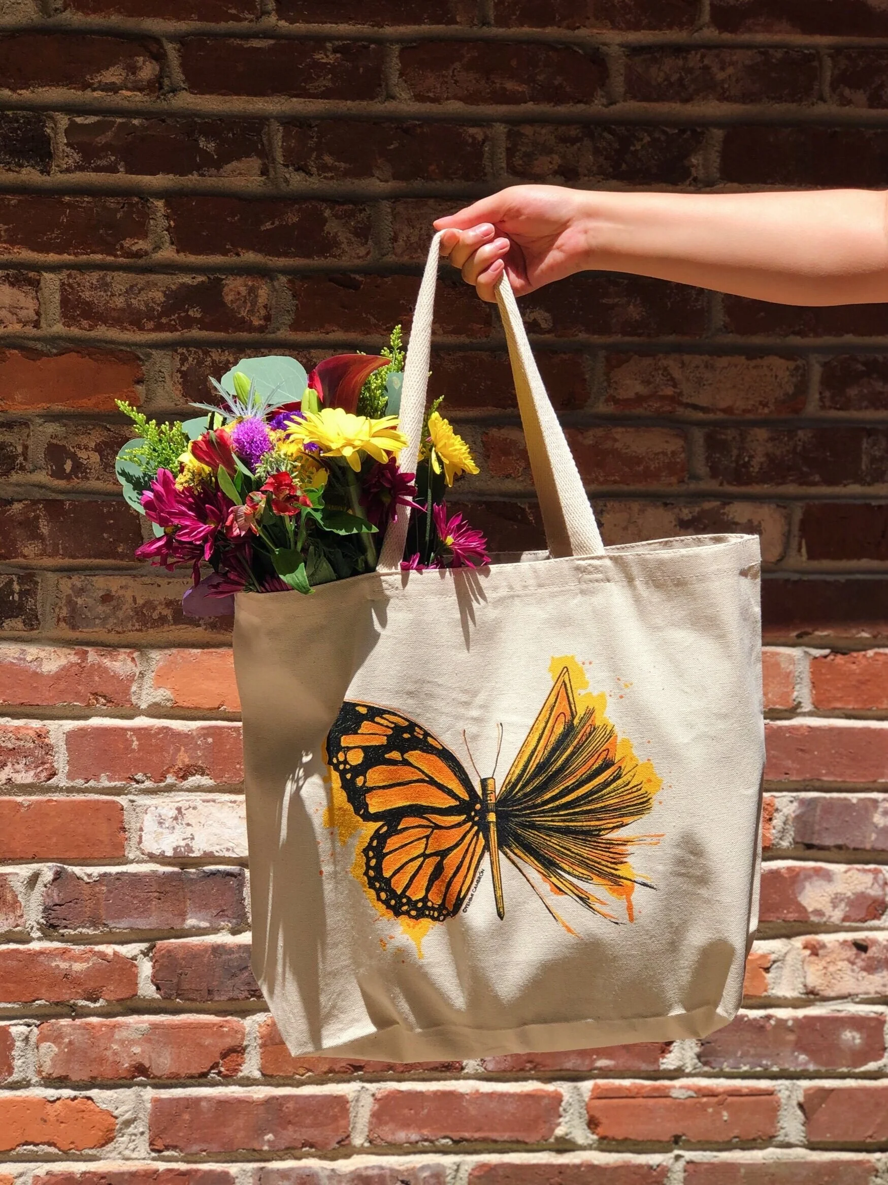 1F479439-31E3-4E83-ACCC-3CD9005F6818