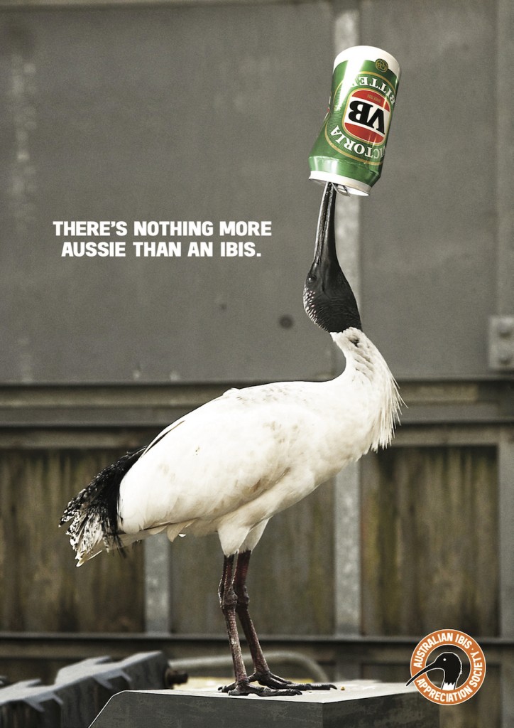 Ibis-Breakfast-of-Champions-724x1024.jpg
