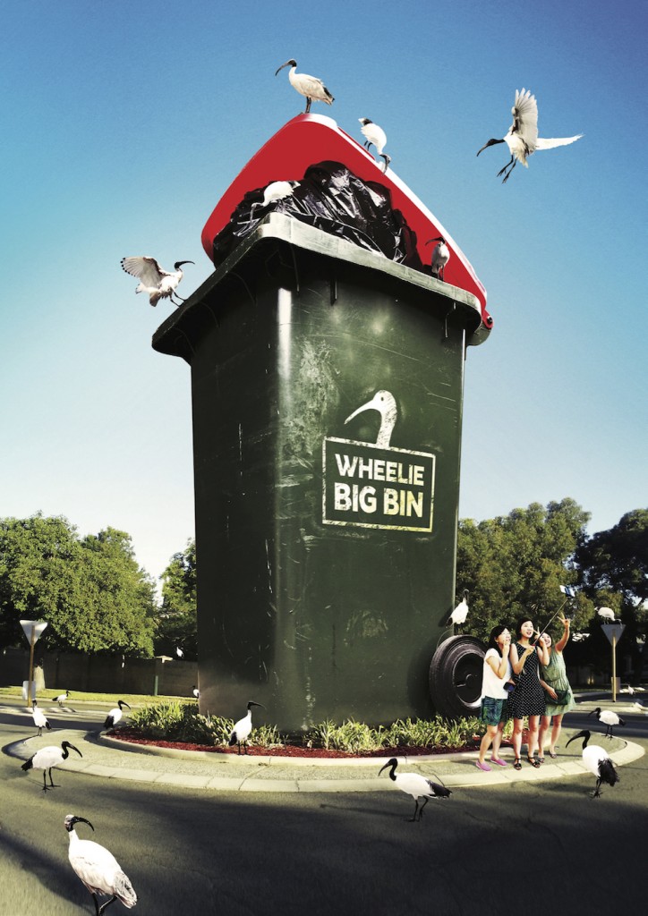 Ibis-The-Wheelie-Big-Bin-724x1024.jpg