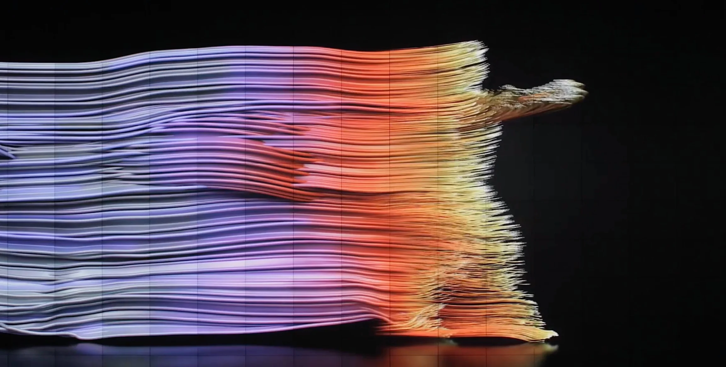 Universal Everything C T