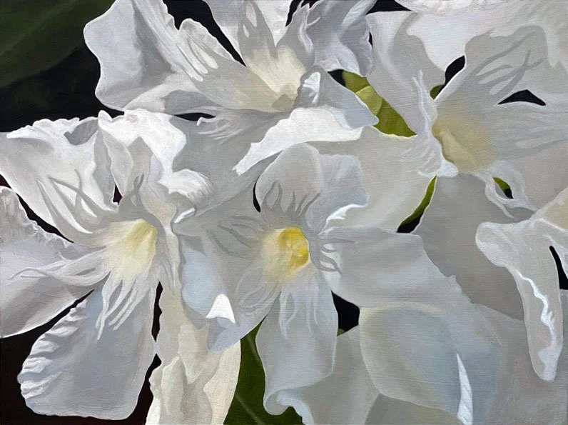 Betsy's Oleanders.