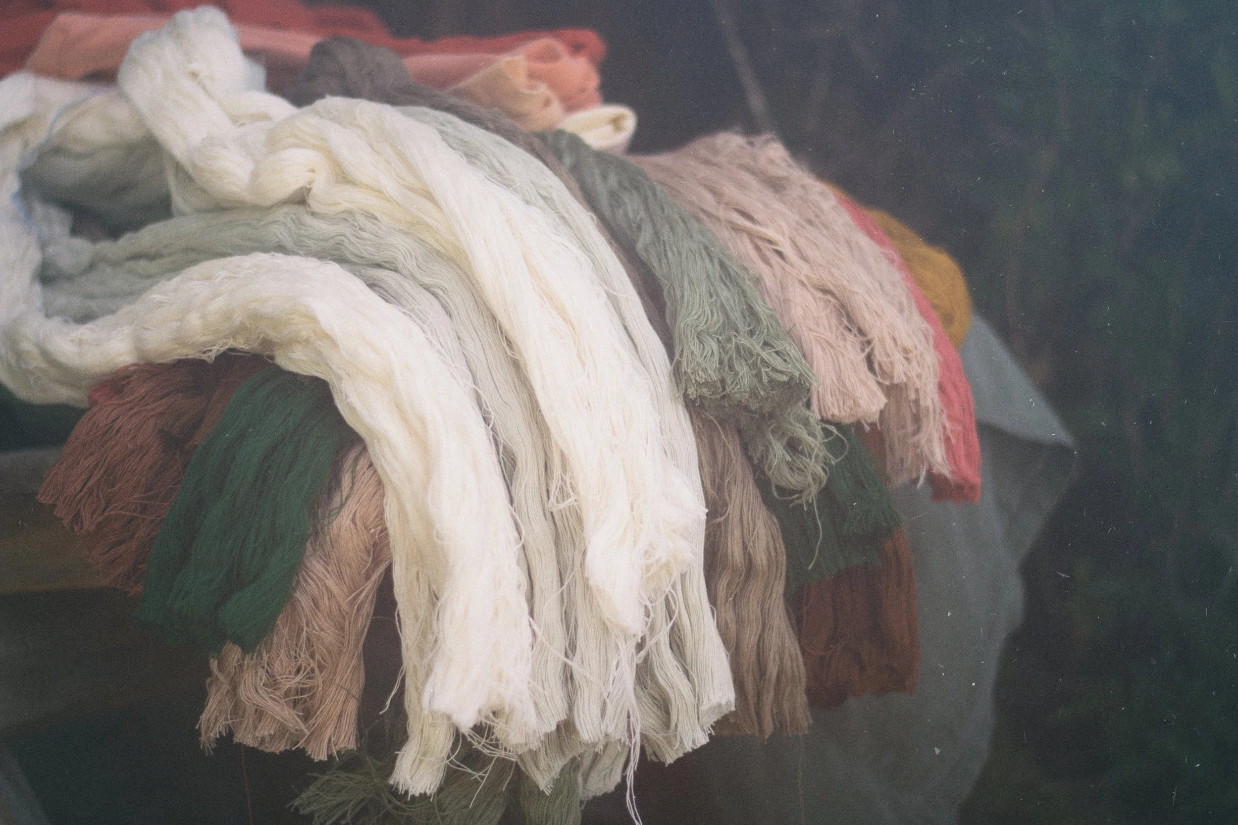 cotton / algodón