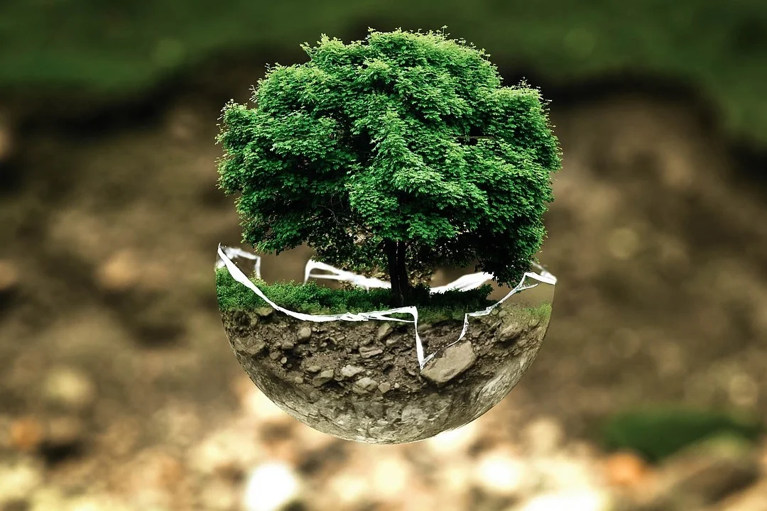 Environment.jpg