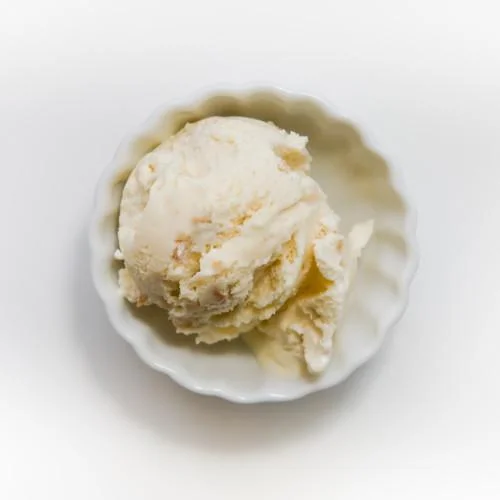 Macadamia Nut Tropical Dream Ice Cream Company