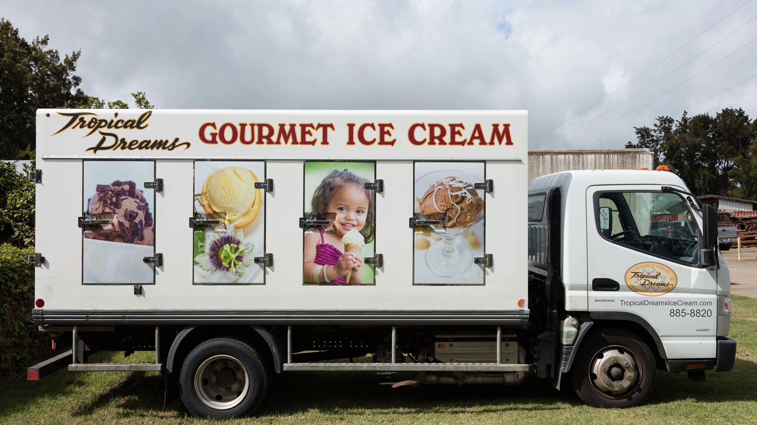 Tropical Dreams Delivery Truck