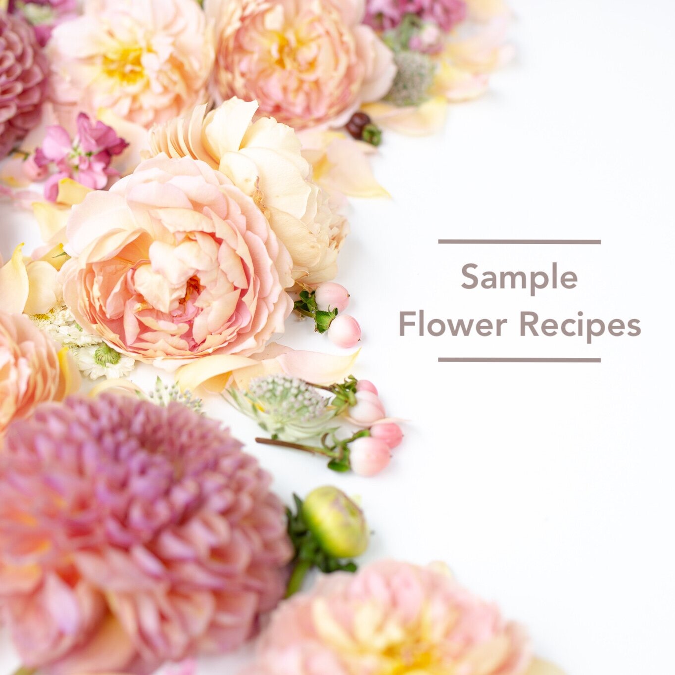 Sample+Recipes.jpg