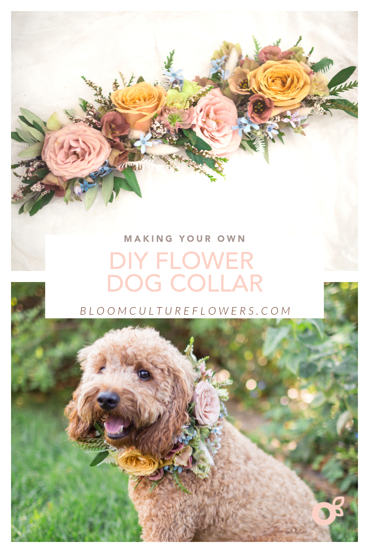 How To Make A Dog Collar Flower