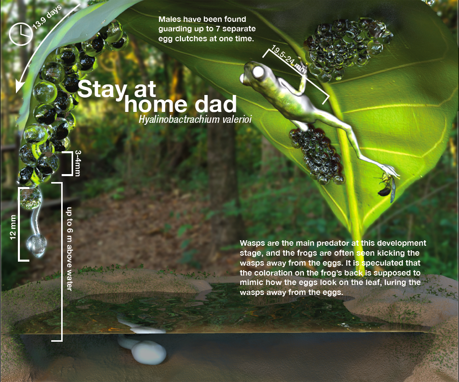 Screen Shot 2018-10-17 at 4.36.00 PM.png