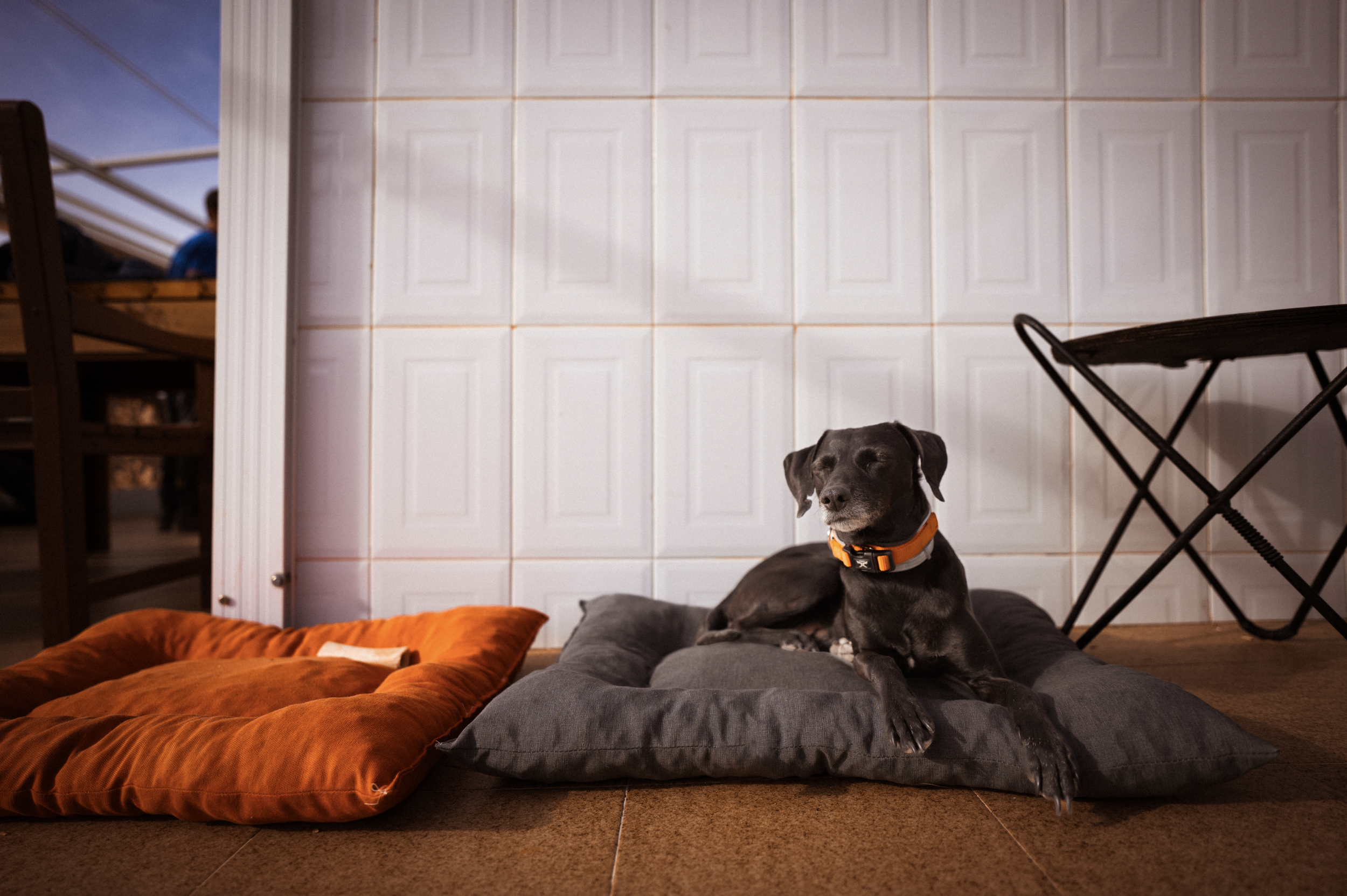 Screenshot 2024-07-14 at 10.46.16 AM.png