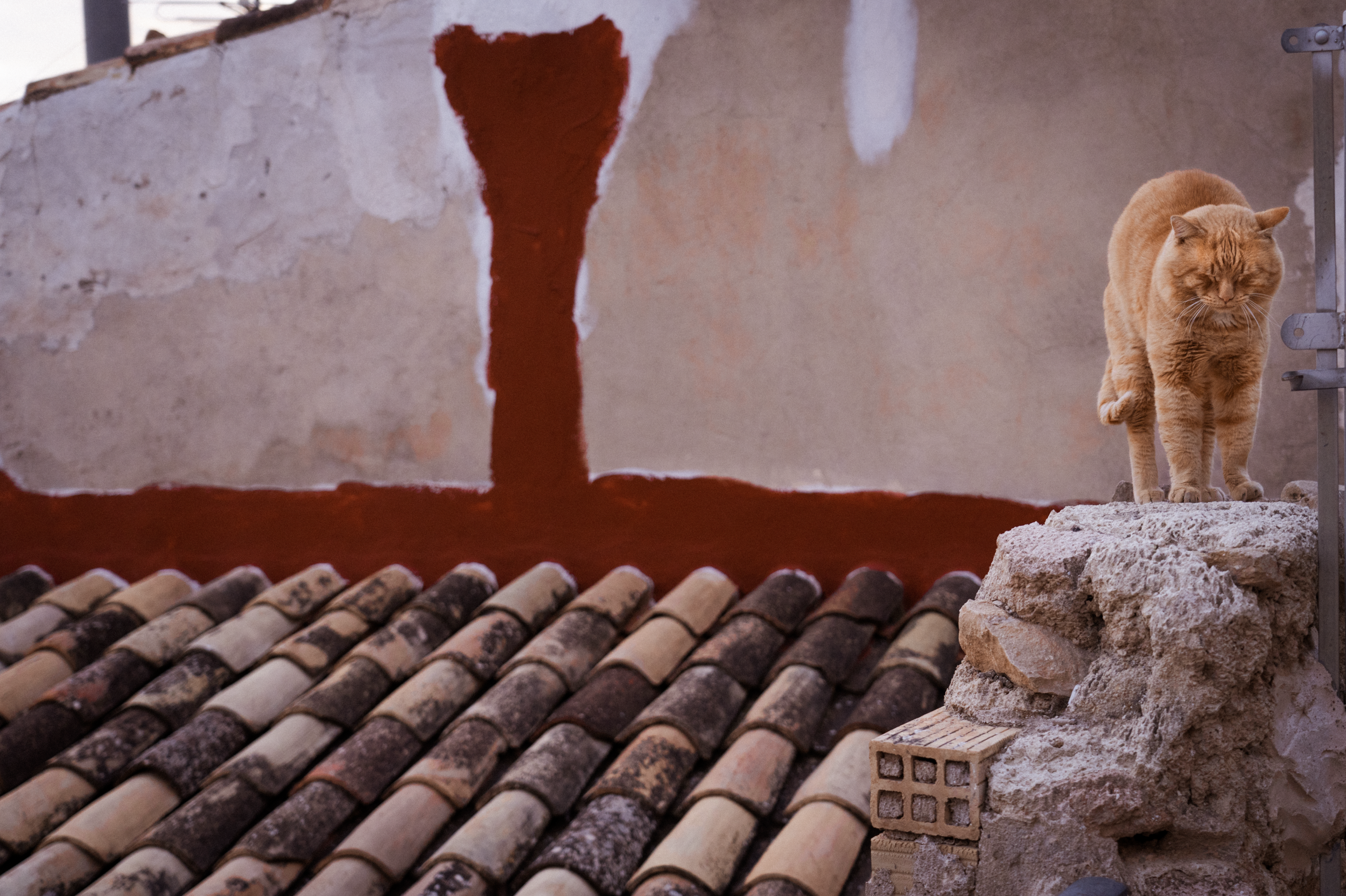 Screenshot 2024-07-14 at 10.45.14 AM.png