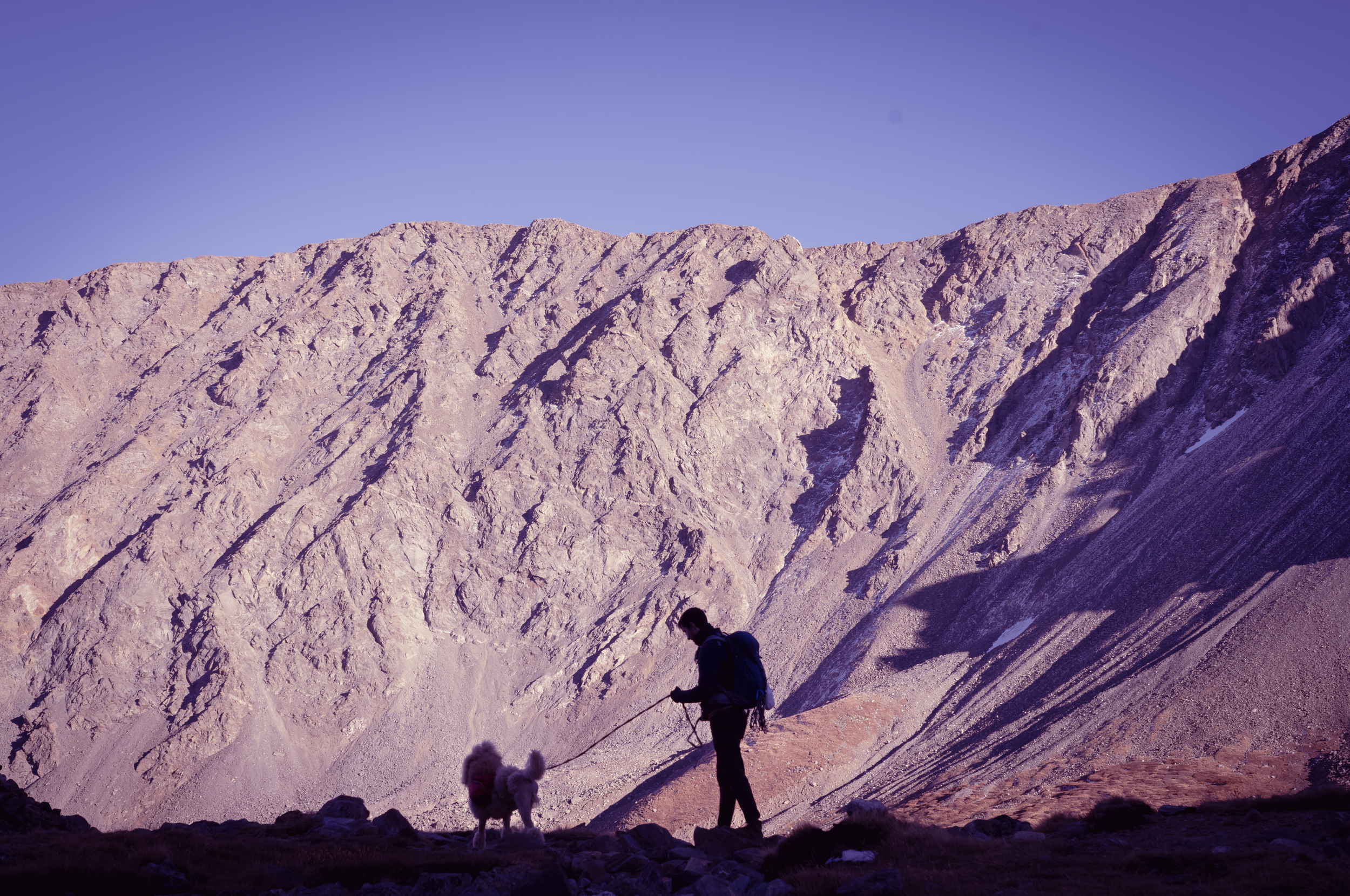 Screenshot 2024-07-14 at 11.03.17 AM.png