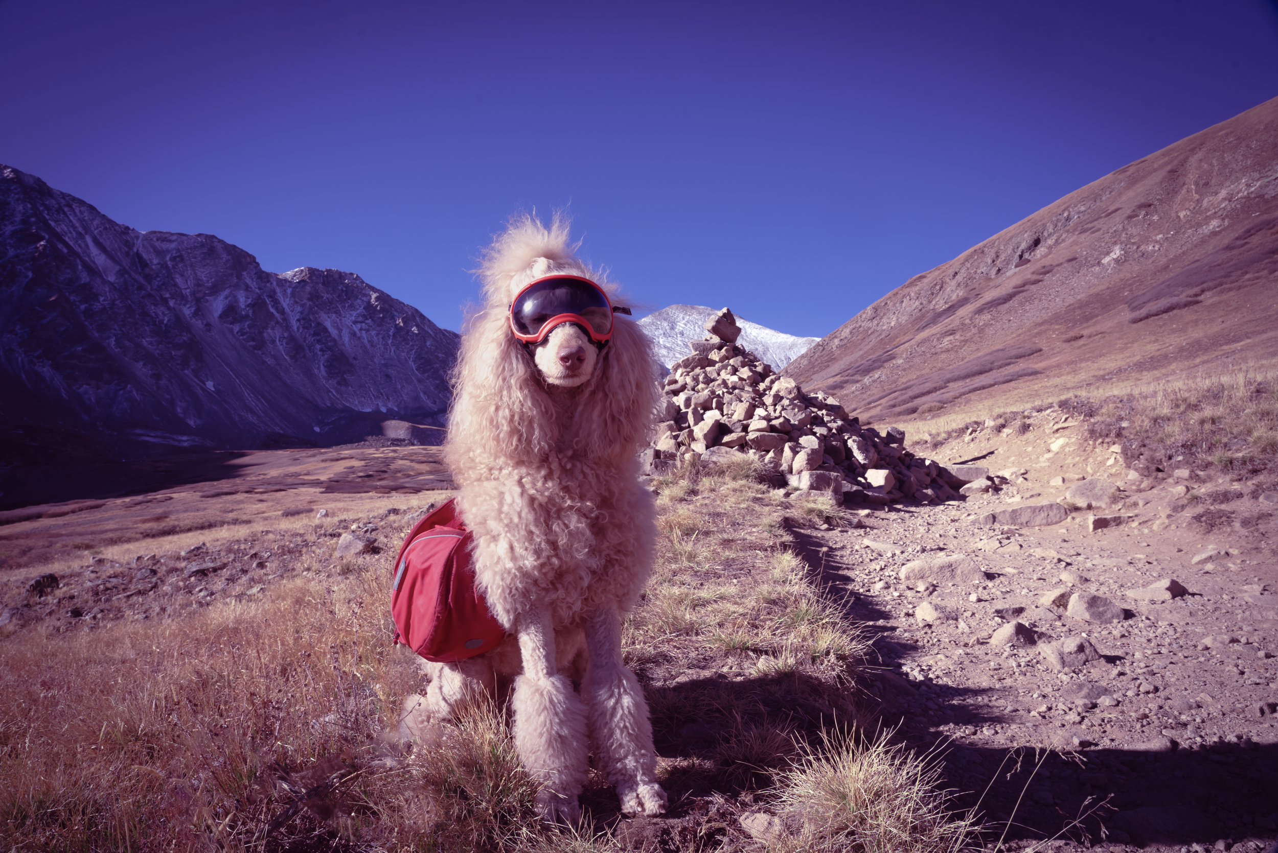 Screenshot 2026-03-31 at 9.15.13 PM.png