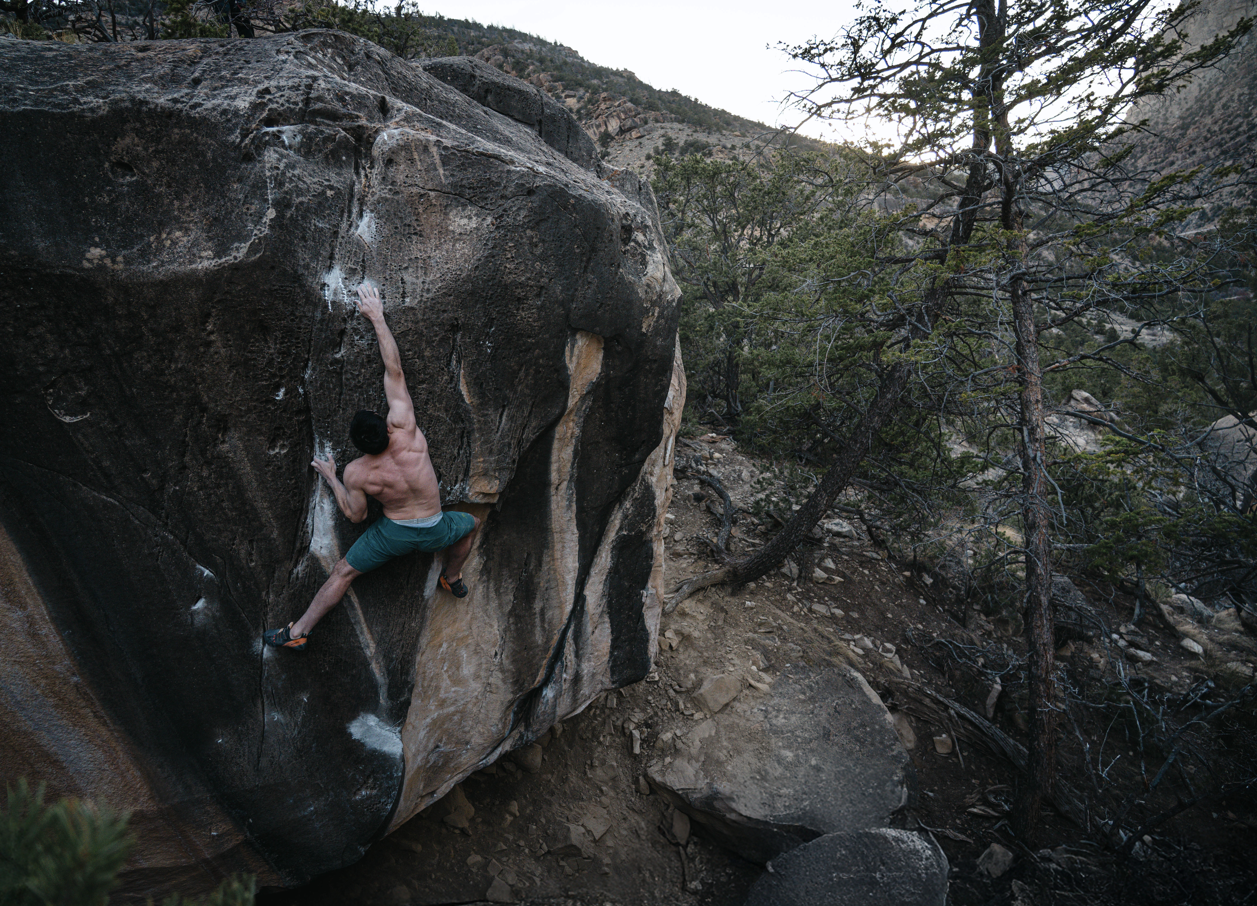 Screenshot 2026-03-31 at 9.09.56 PM.png