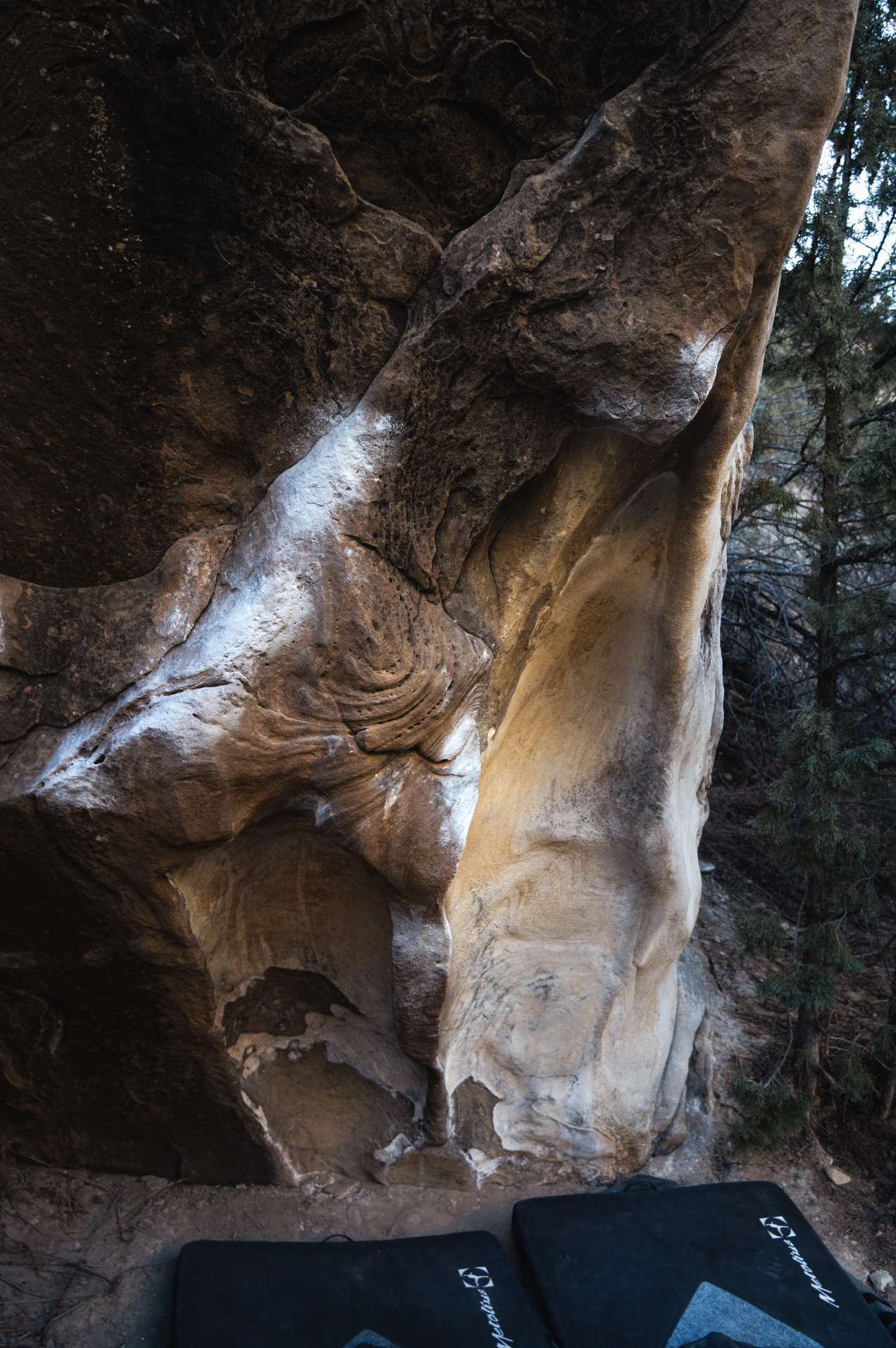 Screenshot 2026-03-31 at 9.12.00 PM.png