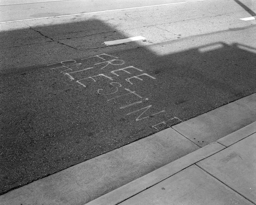 FREE PALESTINE, E Commerce st copy.jpg