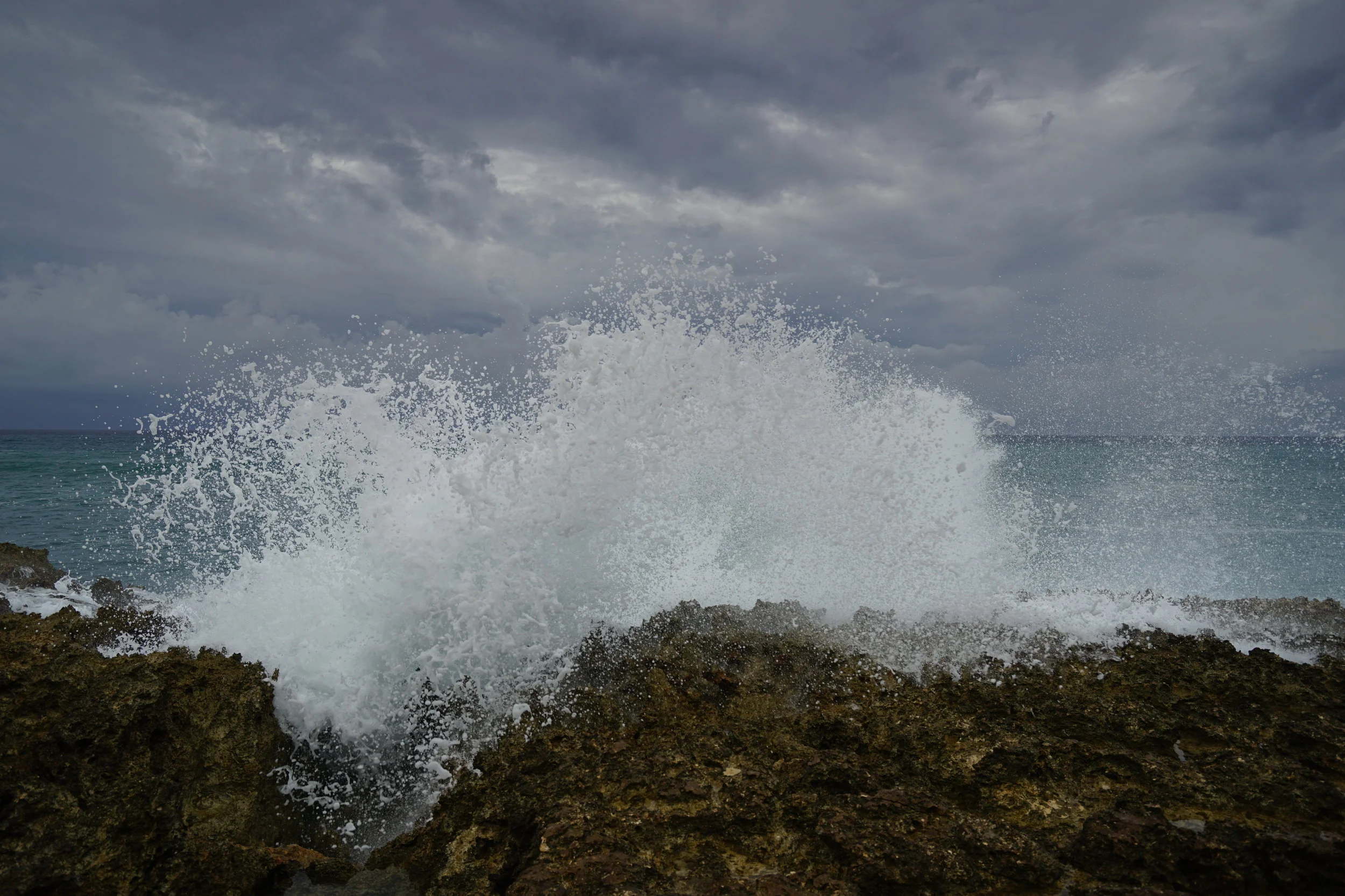 DSC08414.JPG