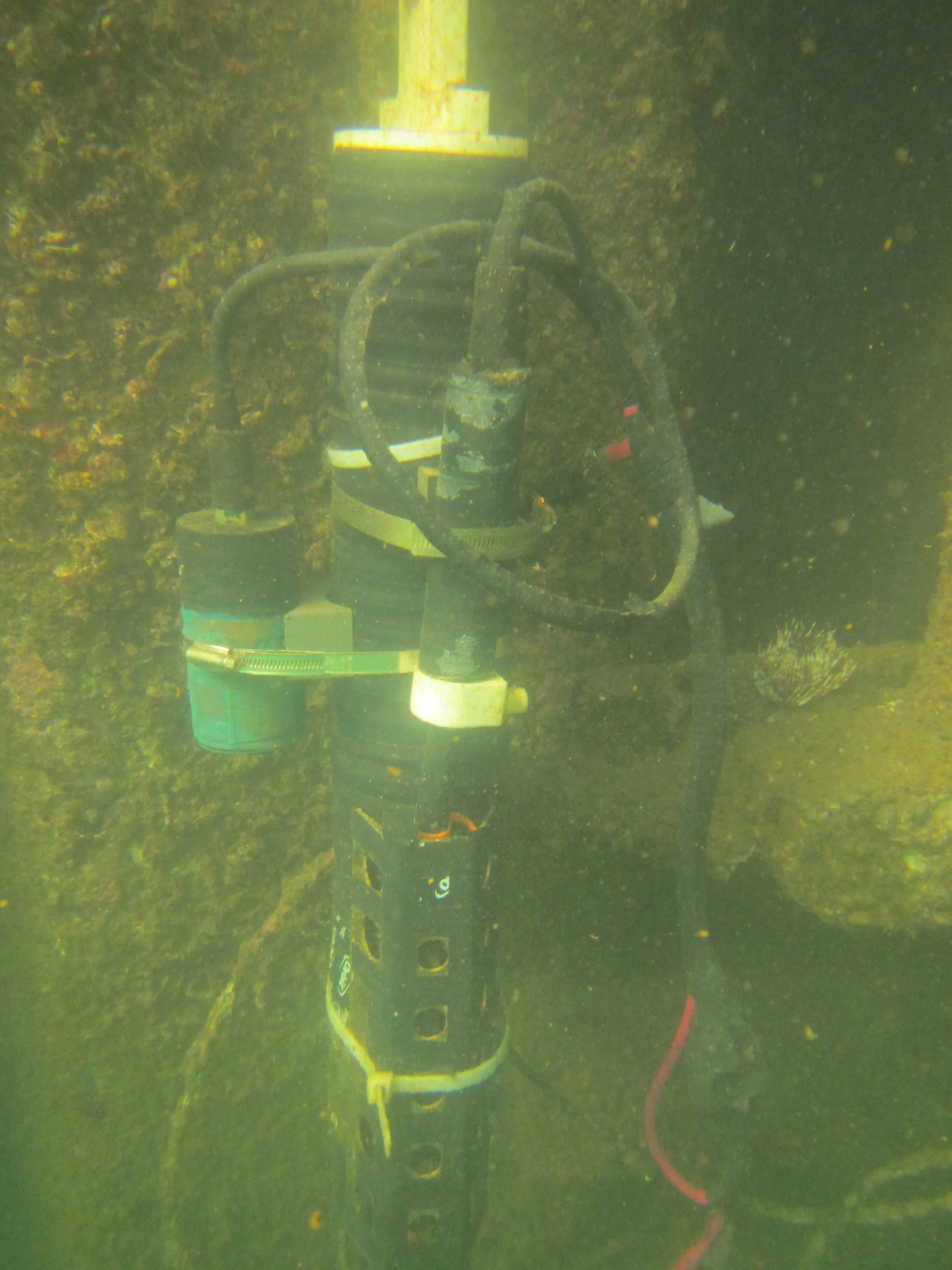 Near shore sensor group Seabird sensor south shore, Oahu