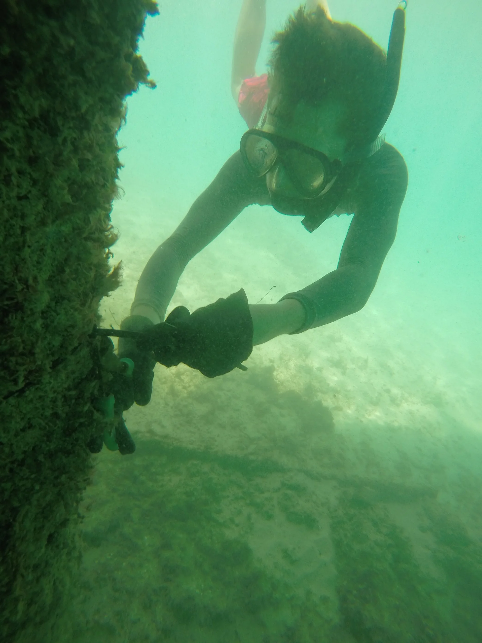 Near shore sensor group SBE16 Plus deployment Velvet Park, Oahu