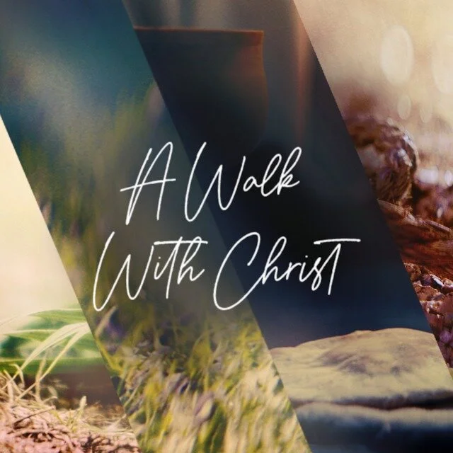 Walk With Christ In Crisis