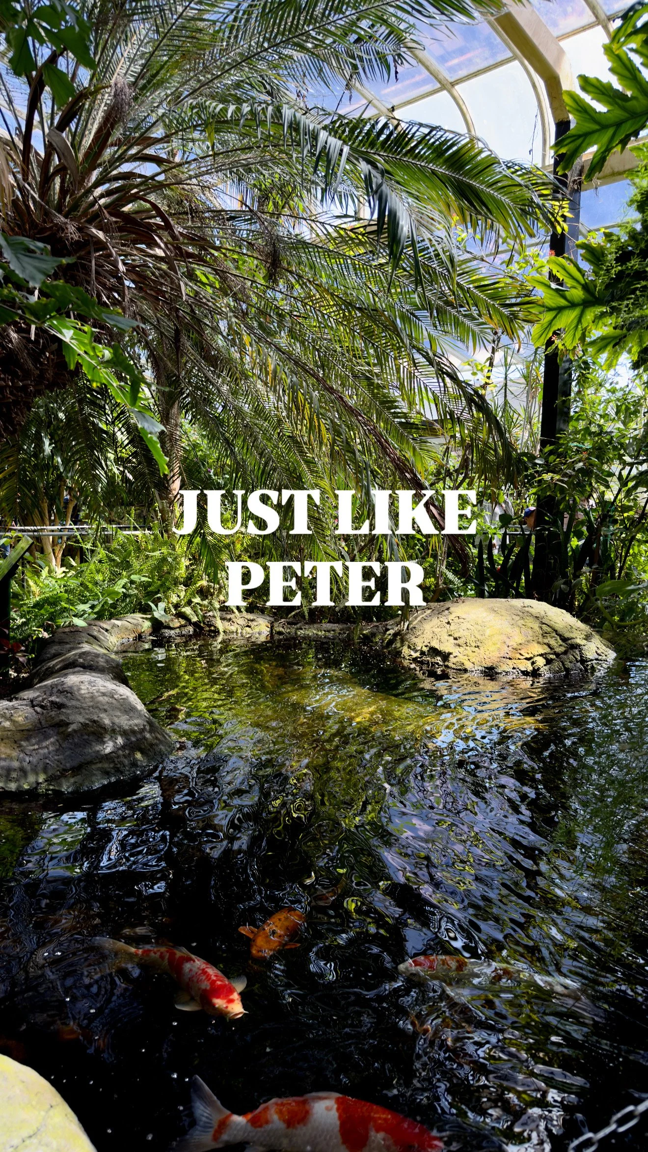 Just like Peter